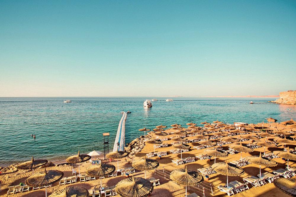 SENTIDO Reef Oasis Senses Resort — photo 5