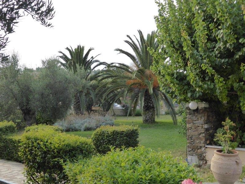 Porto Matina — photo 5