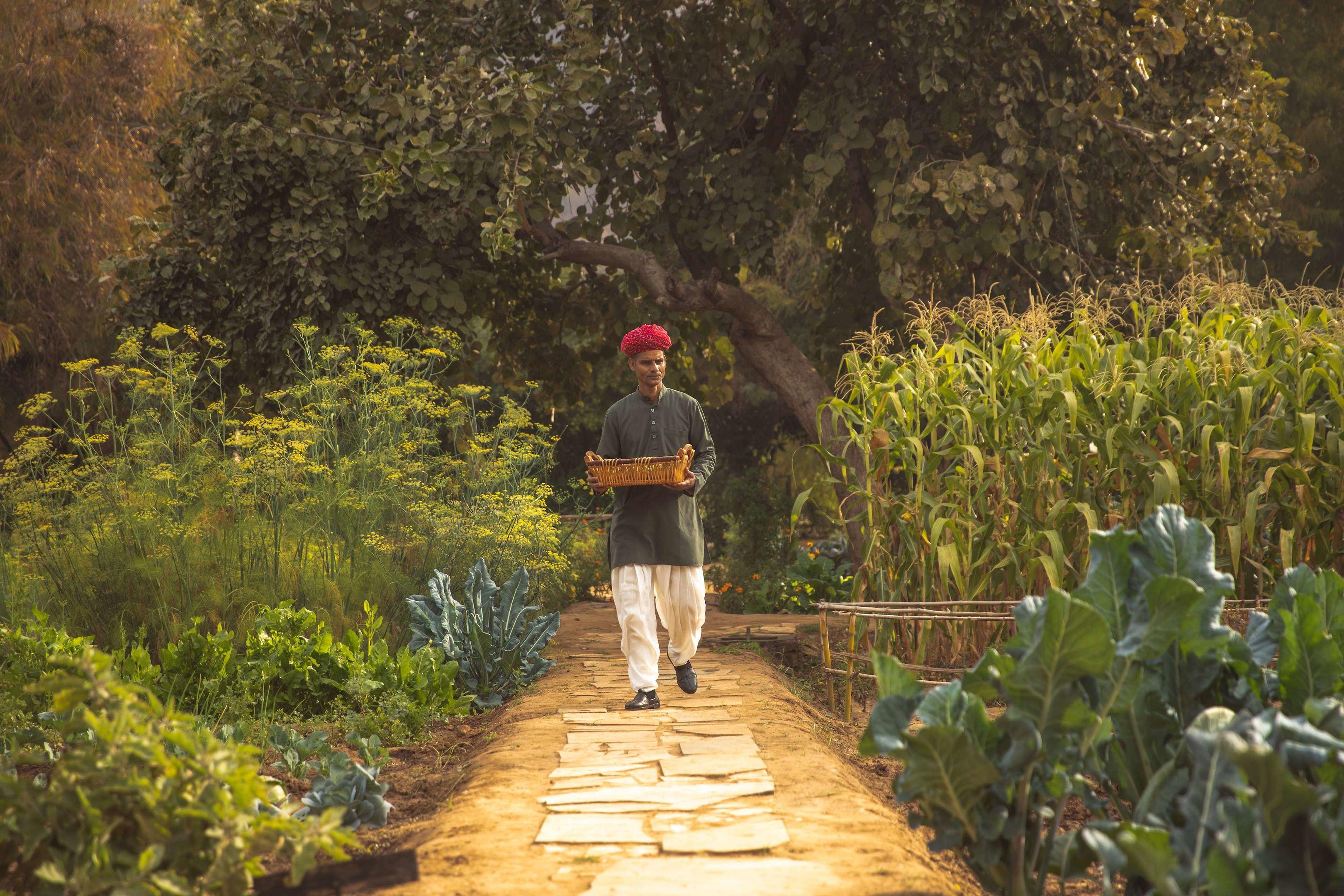 Amanbagh — photo 3
