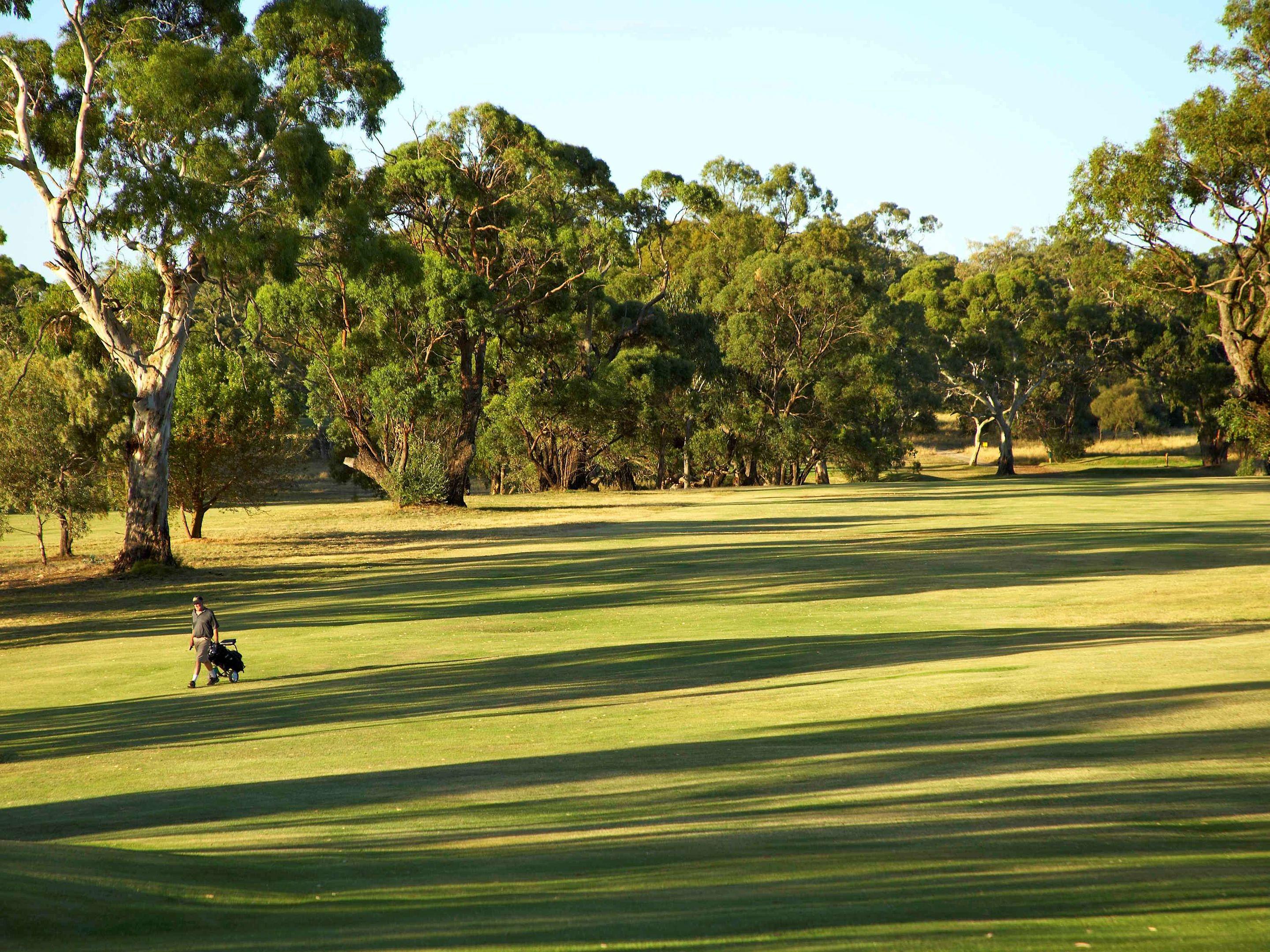 Novotel Barossa Valley Resort — photo 5