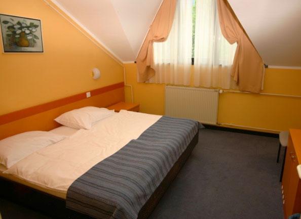 Hotel Alma & Grad Hrib — photo 4