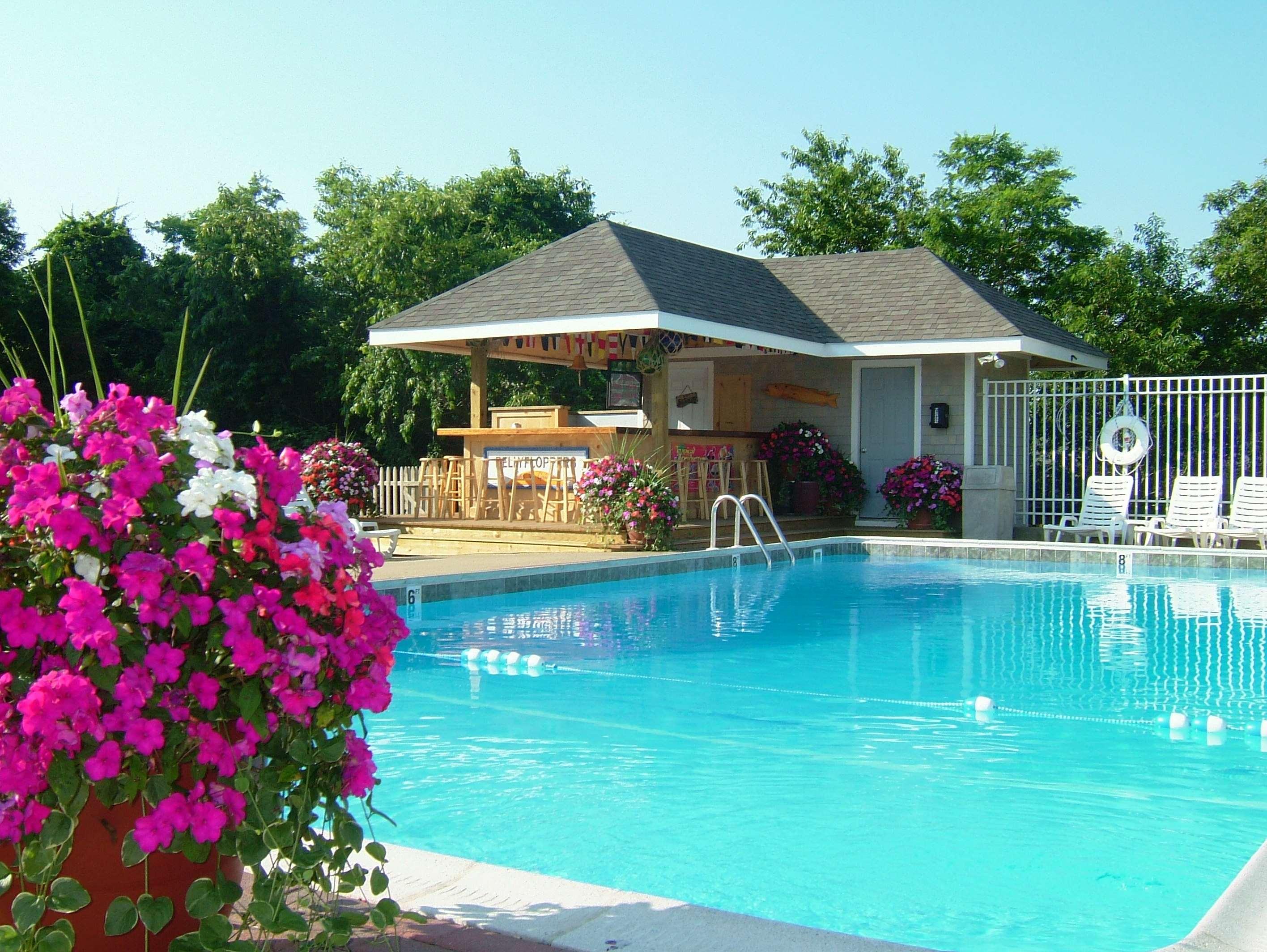 Bayside Resort Hotel — photo 4