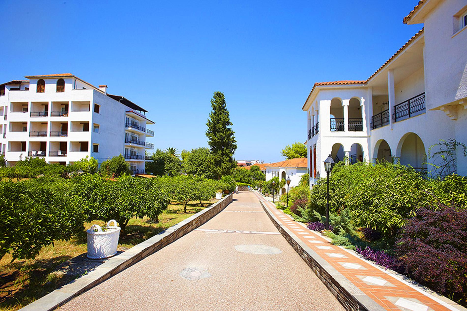 Alexander the Great Beach Hotel — photo 3