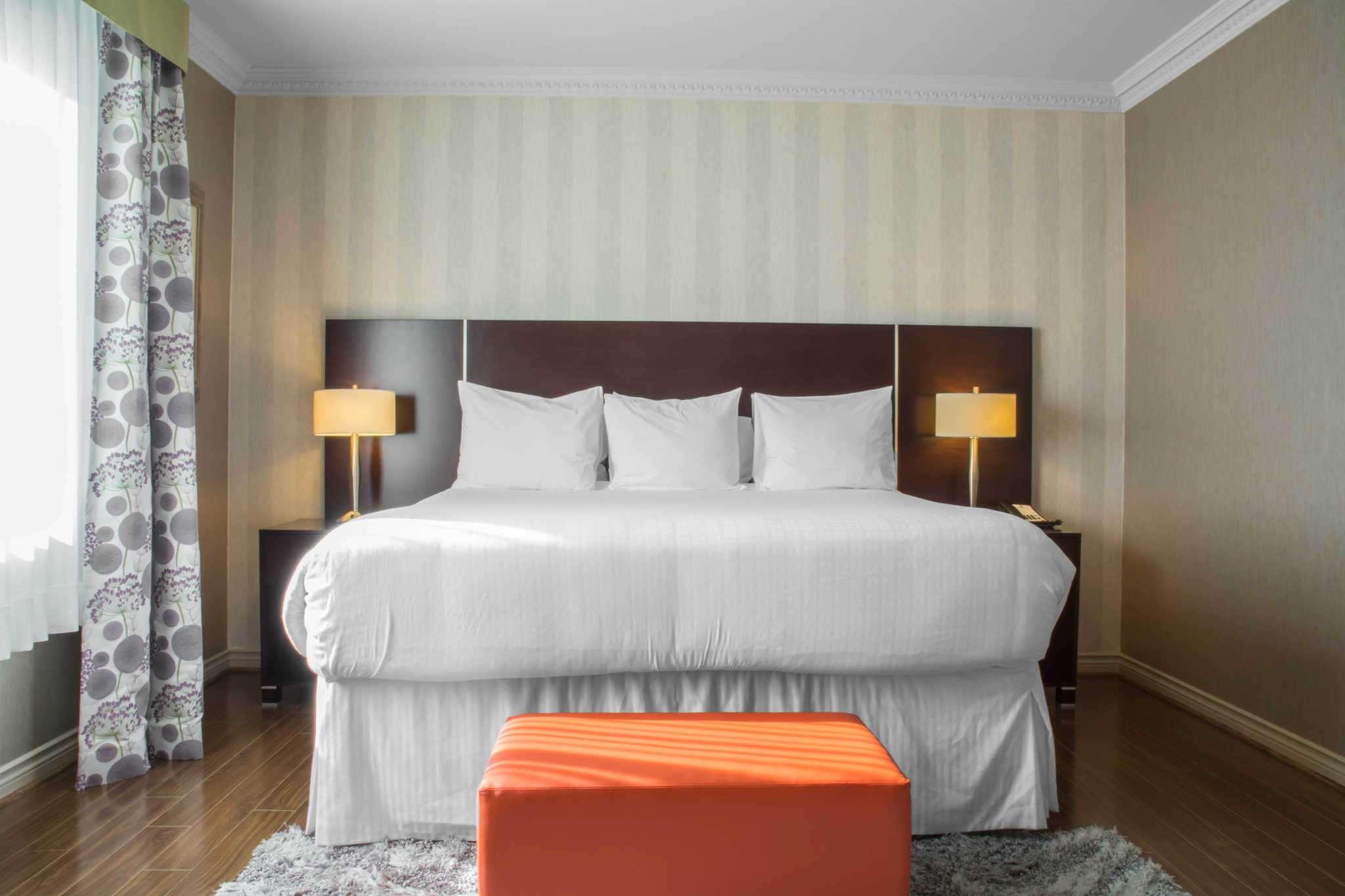 Quality Suites — photo 5
