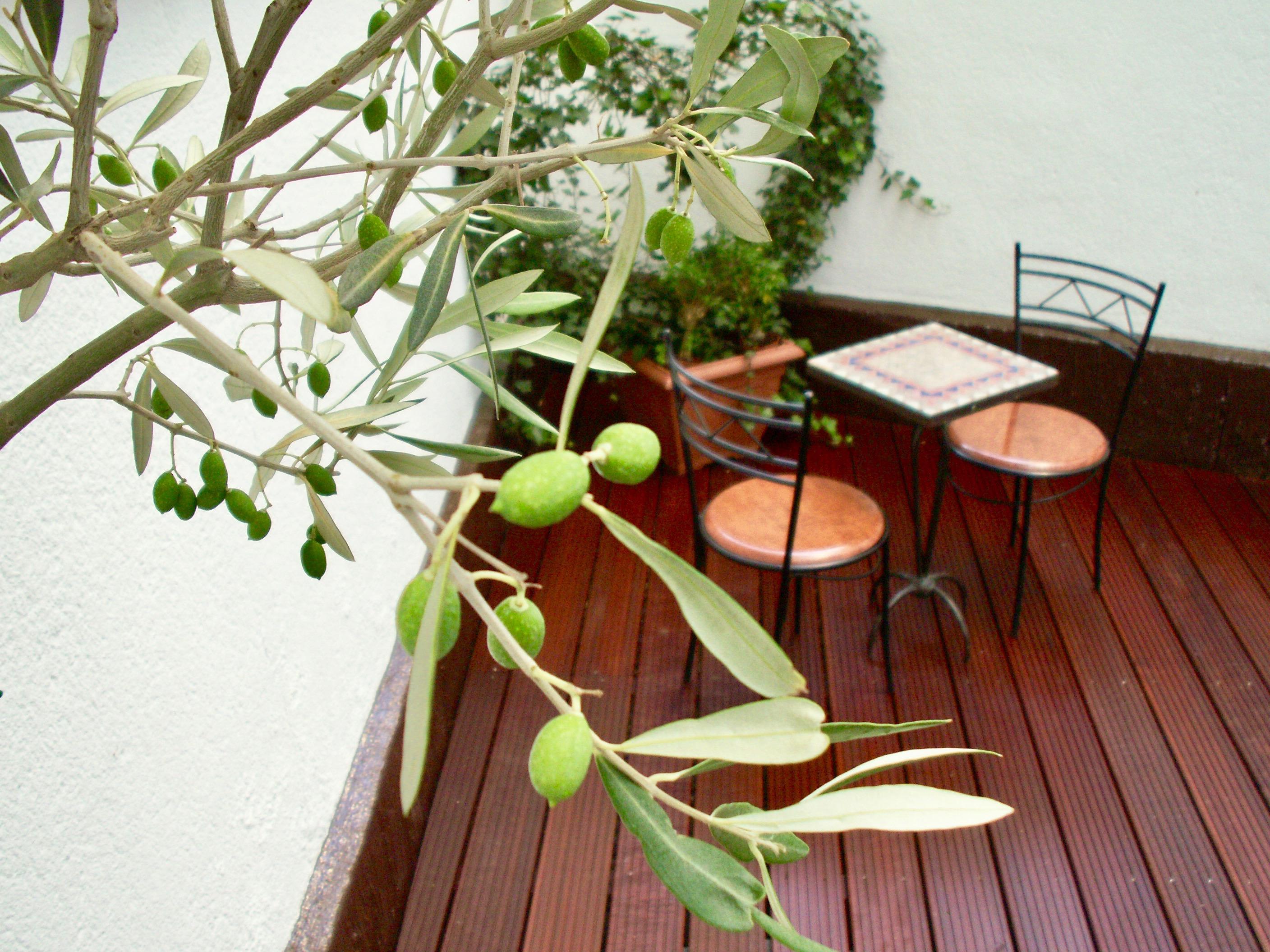 Berial — photo 4
