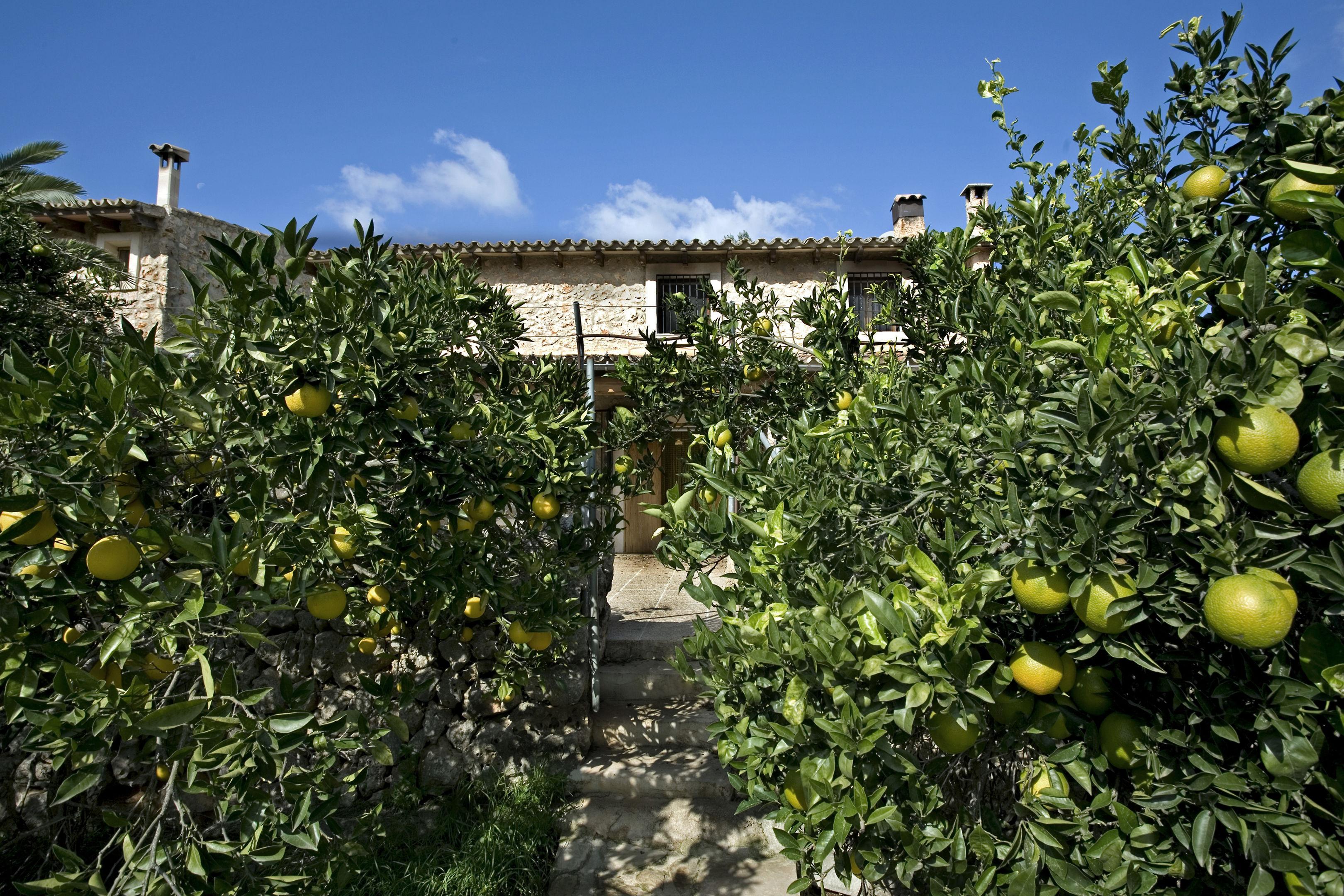 Agroturismo Son Ginebro — photo 5