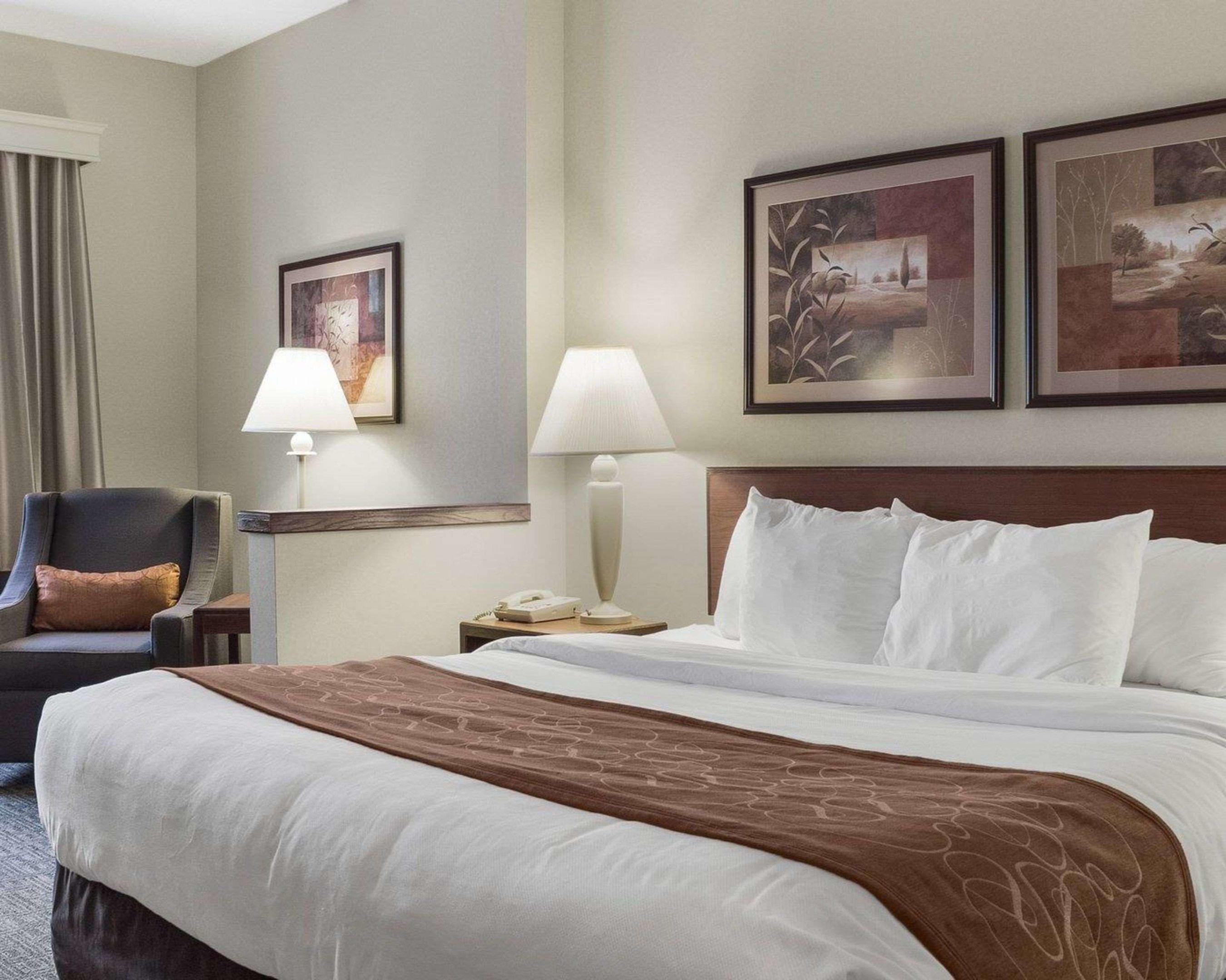 Comfort Suites — photo 3