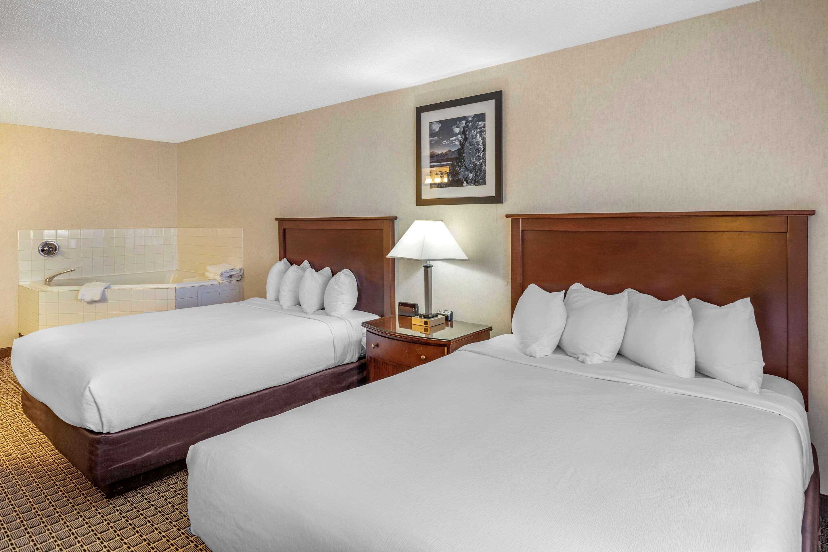 Quality Inn & Suites — photo 5