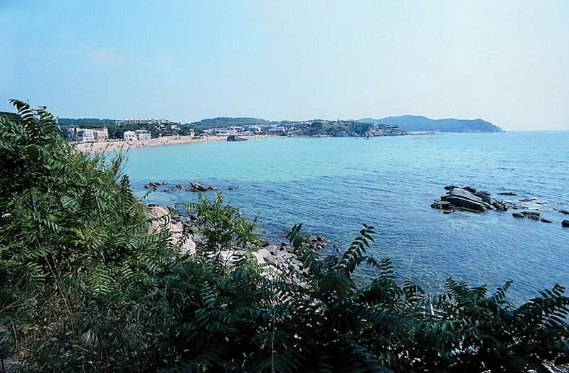Ancora — photo 3