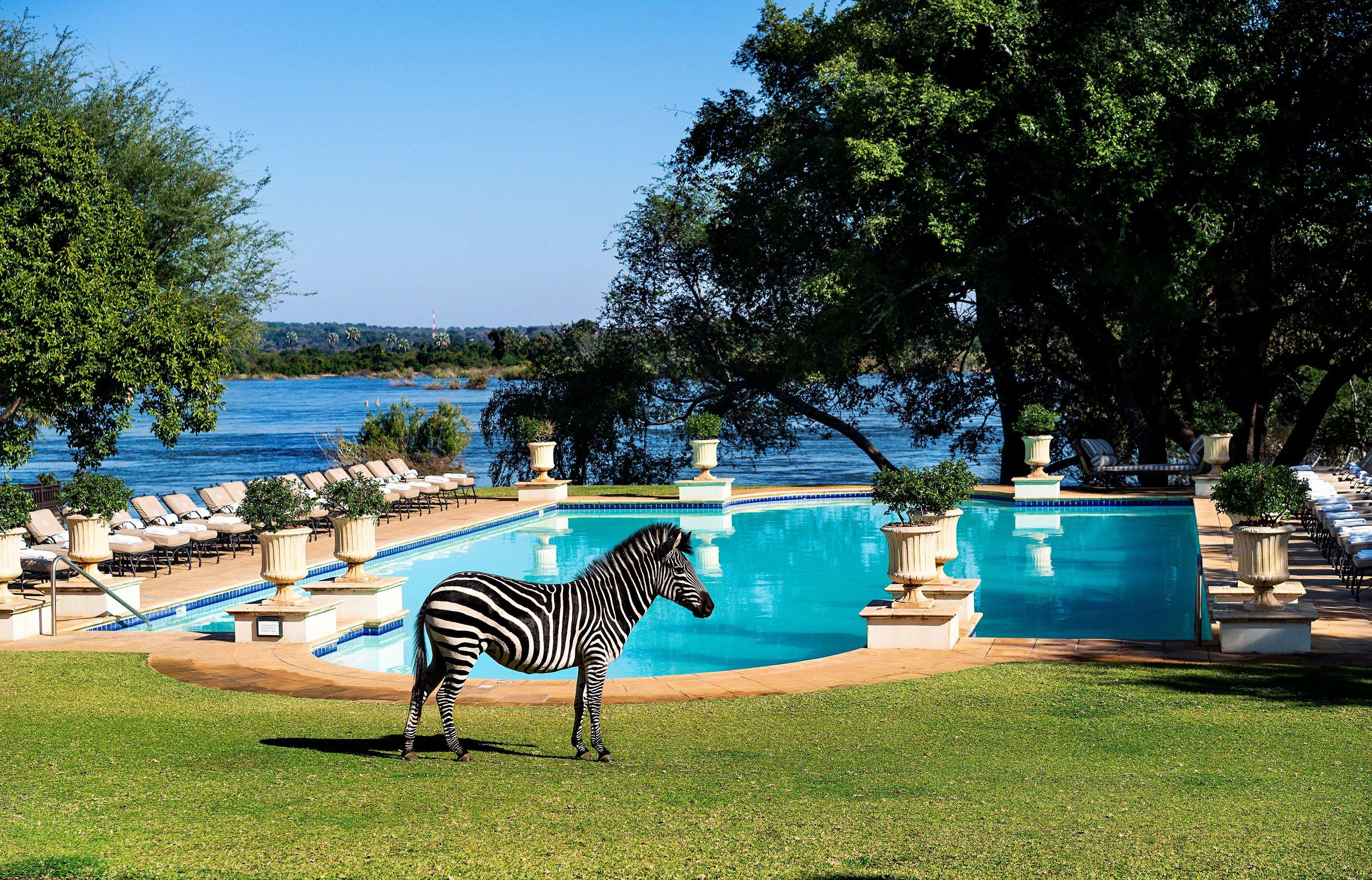 Royal Livingstone Victoria Falls Zambia Hotel By Anantara — photo 5