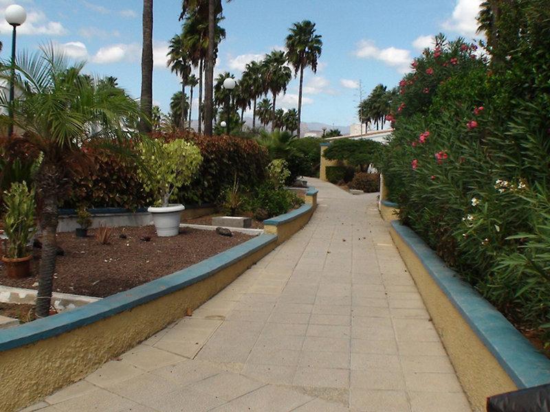 Sonora Golf — photo 4