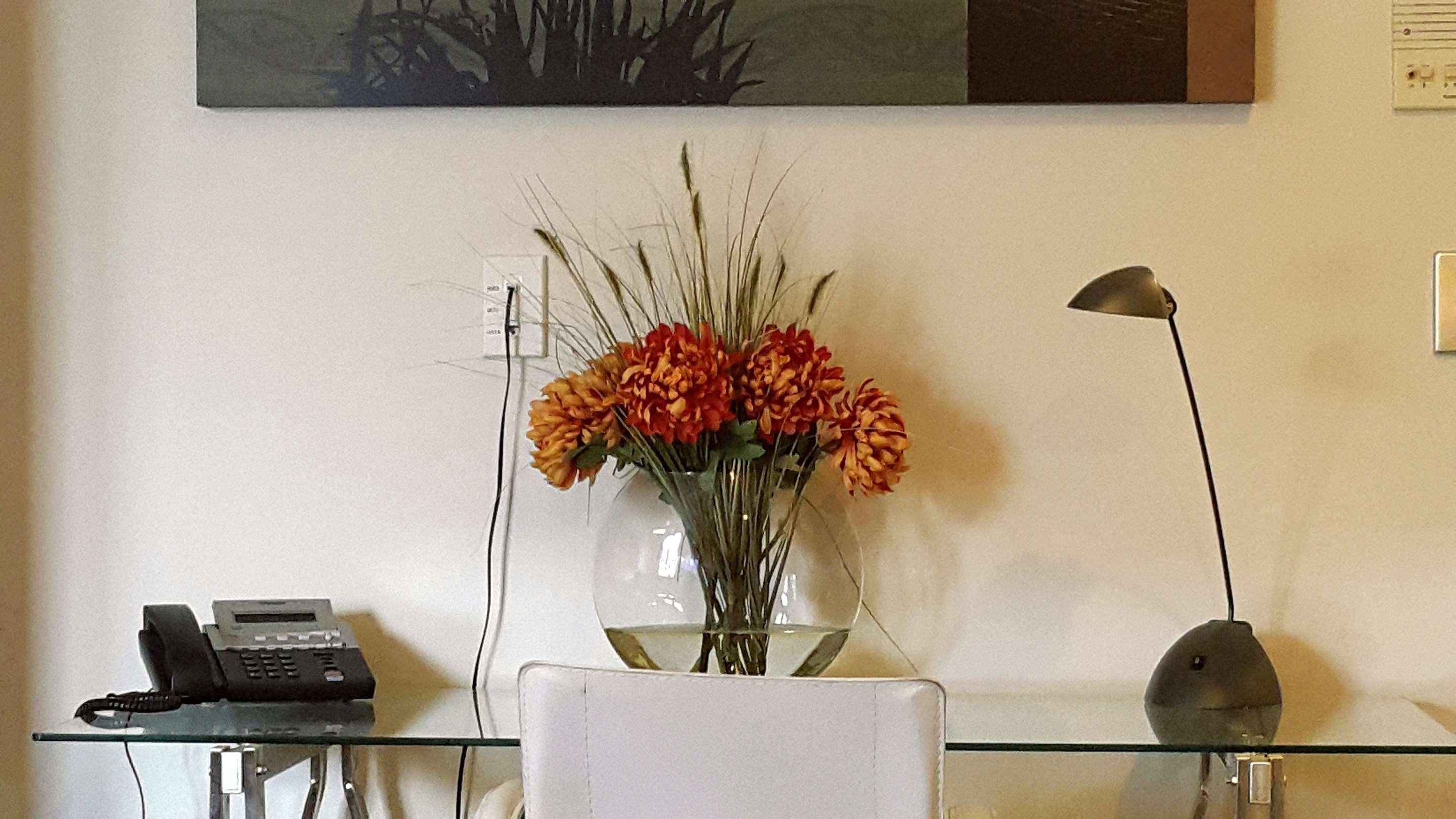 Apollo Hotel Auckland — photo 4