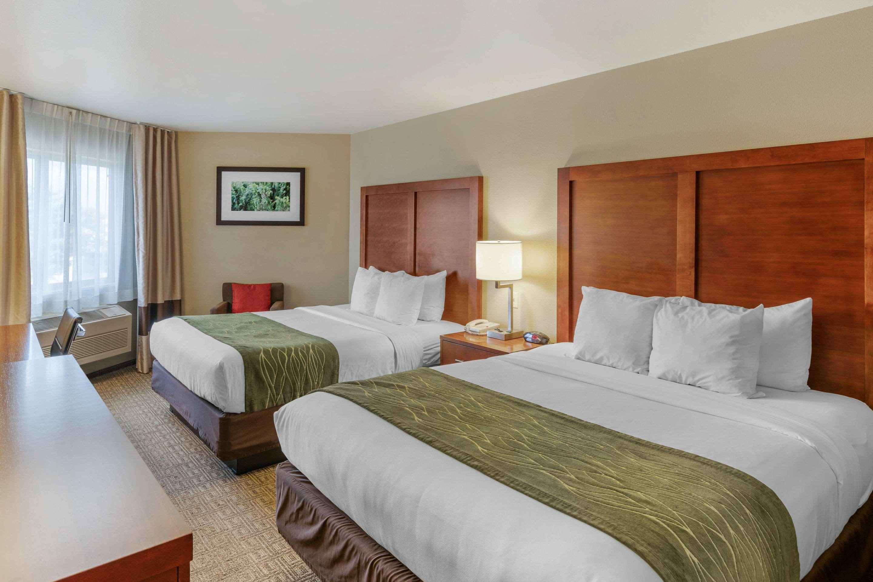 Comfort Inn University — photo 4