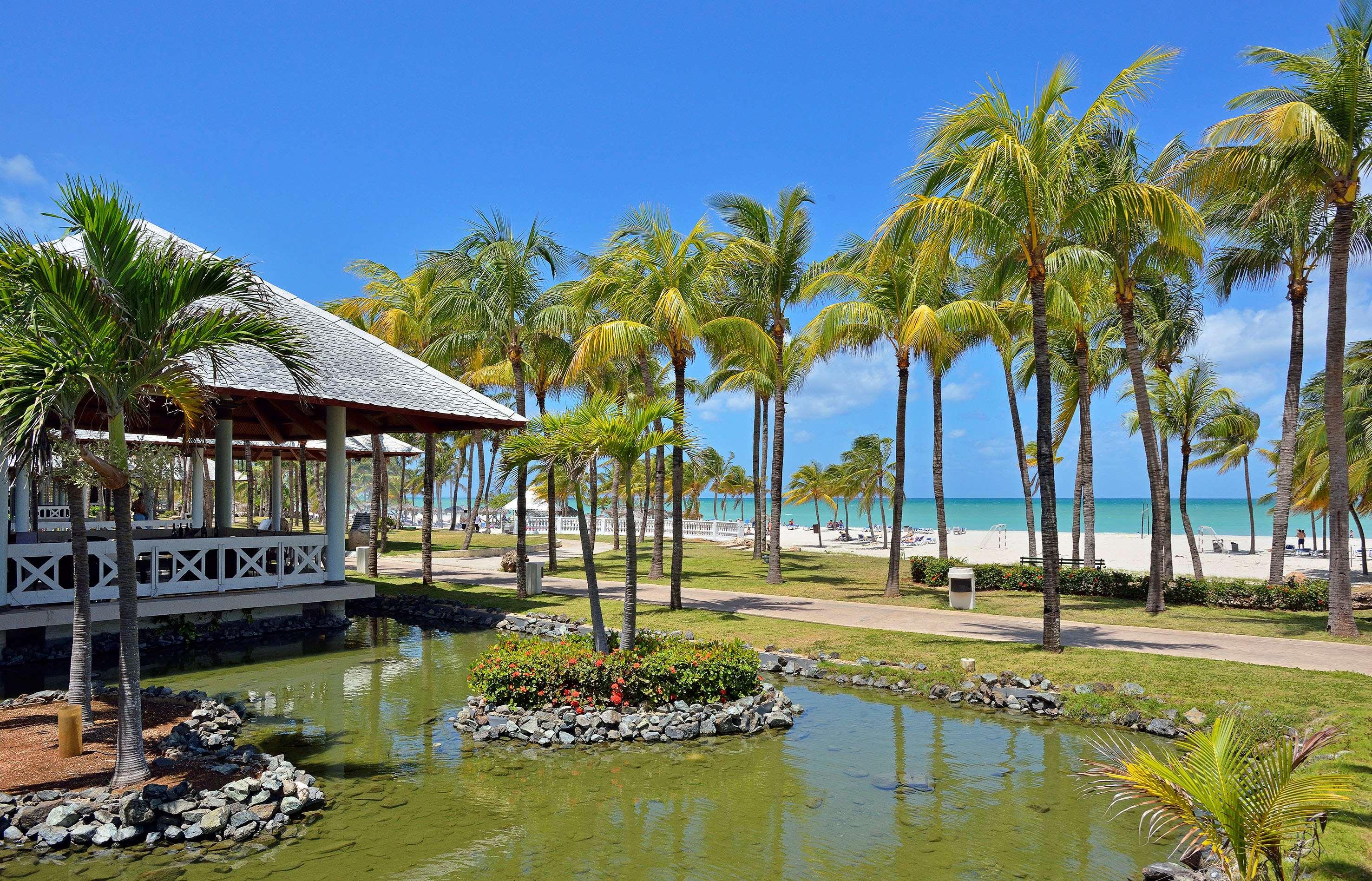 Paradisus Varadero Resort & Spa — photo 4