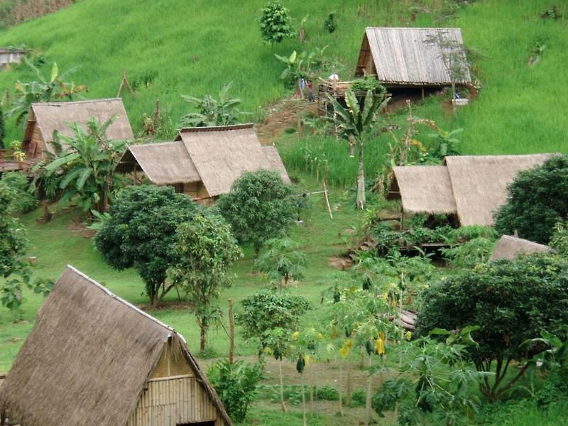 Bamboo Country Lodge