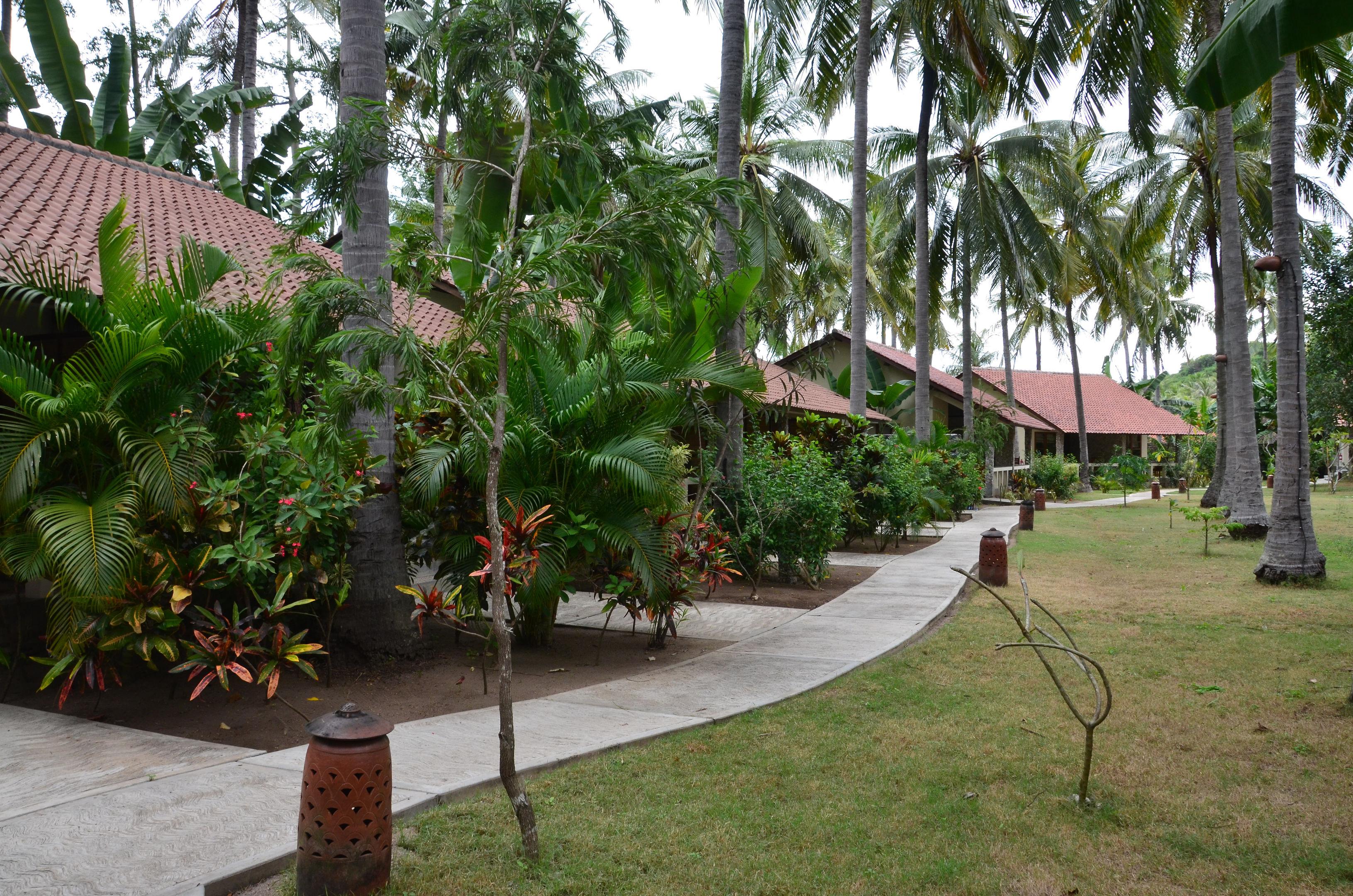 Cocotinos Sekotong Beach Resort — photo 5
