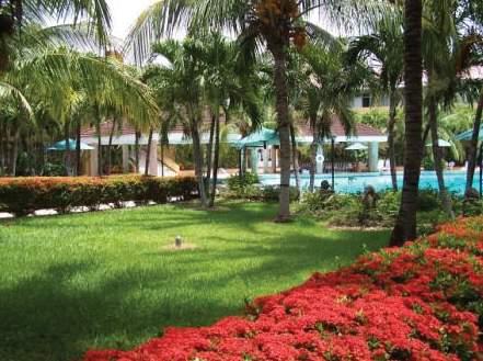 Margaritaville Beach Resort — photo 3