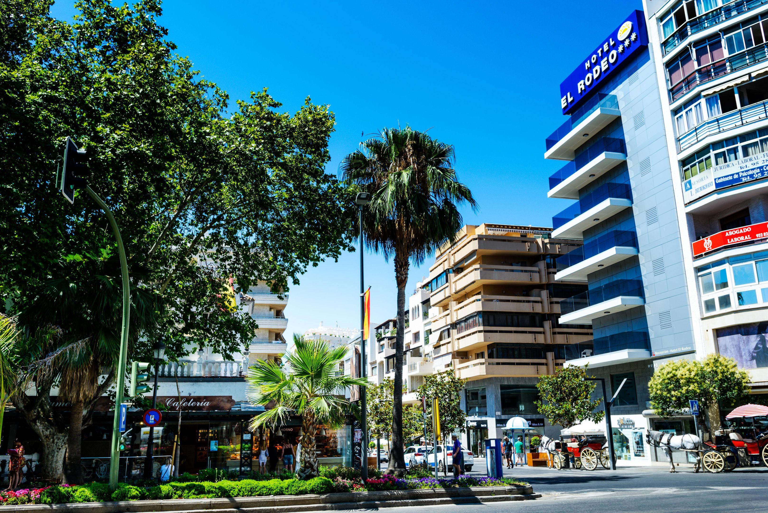 El Hotel Monarque el Rodeo — photo 4
