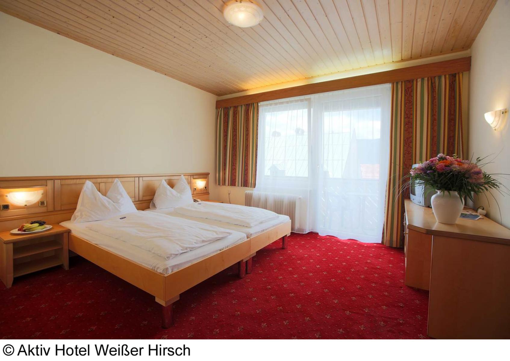 AKTIVHOTEL Weißer Hirsch — photo 5
