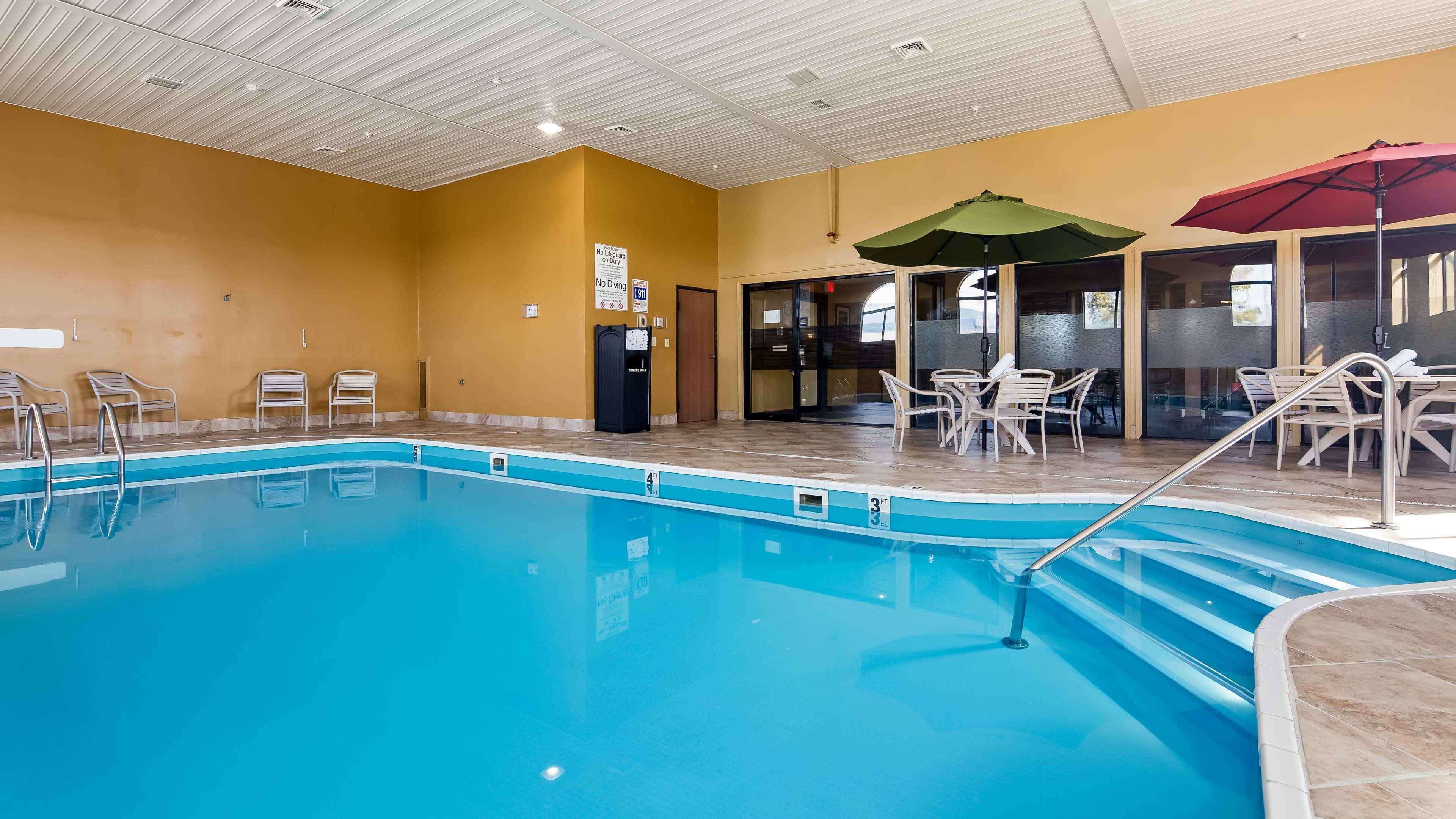 Best Western Saluki Inn — photo 4