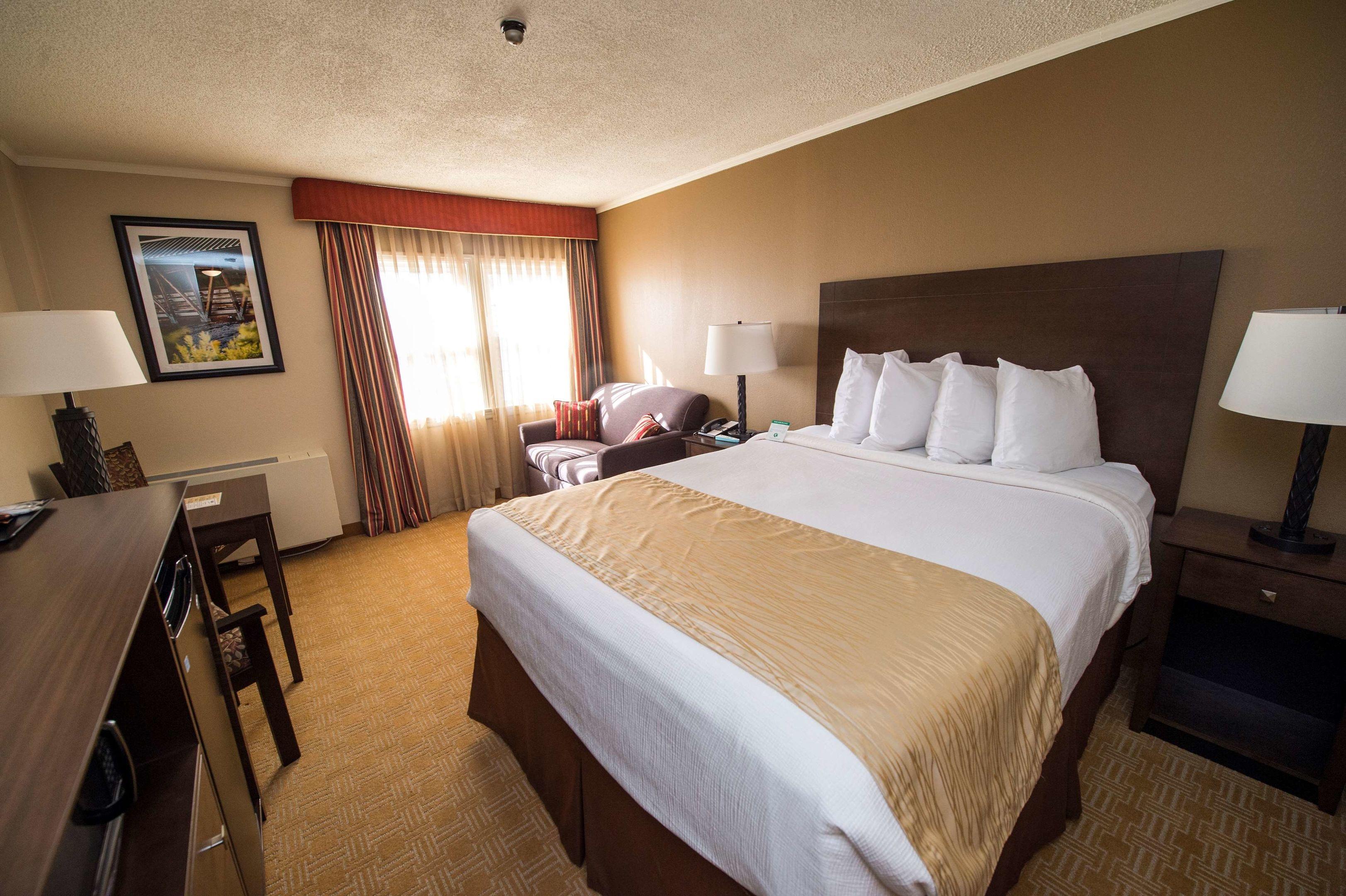 Best Western University Inn — photo 5
