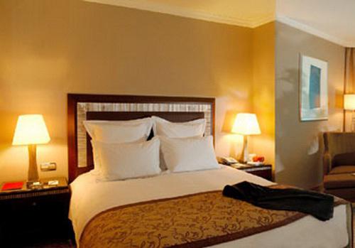 Swissôtel Ankara — photo 5