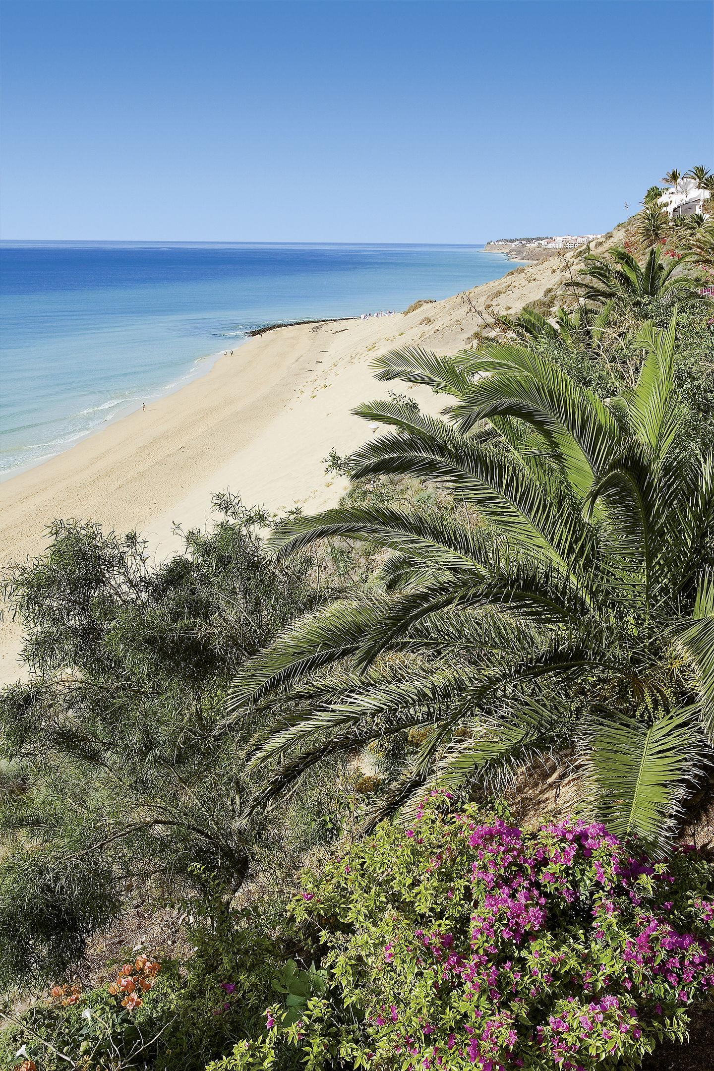 allsun Hotel Esquinzo Beach — photo 3