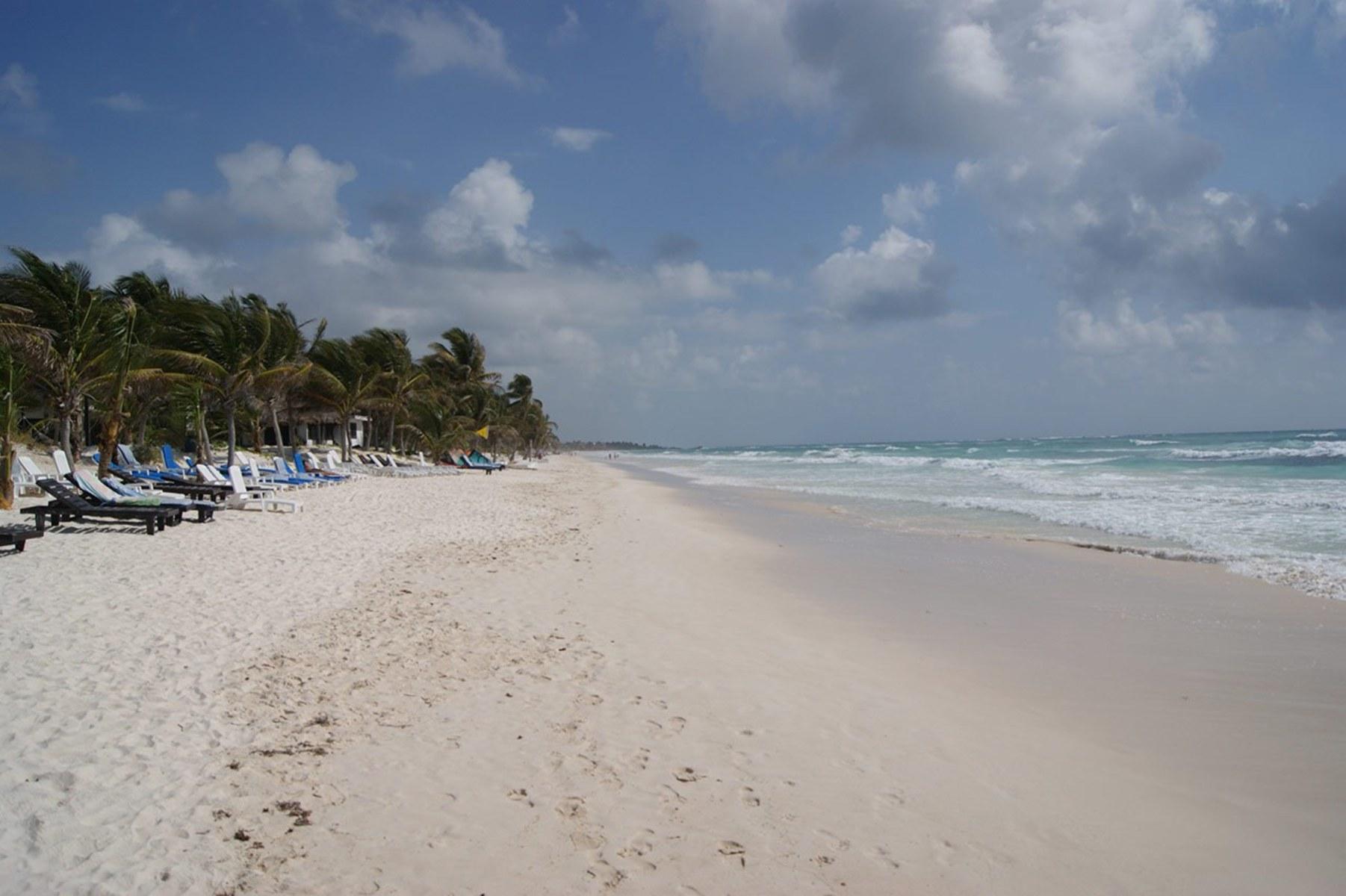 Selina Los Lirios Tulum — photo 4