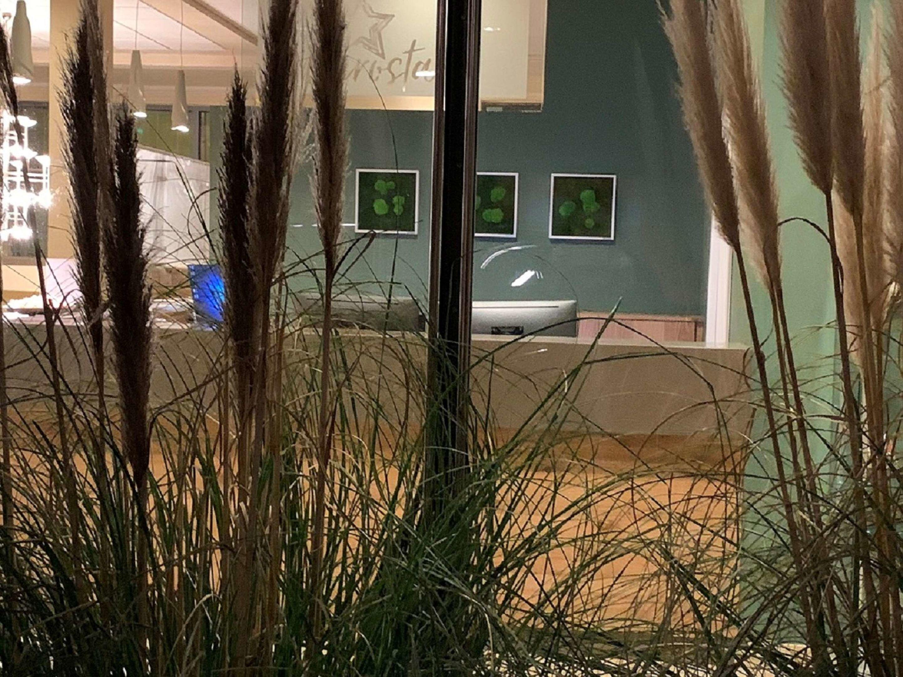 EuroStar Hotel — photo 3