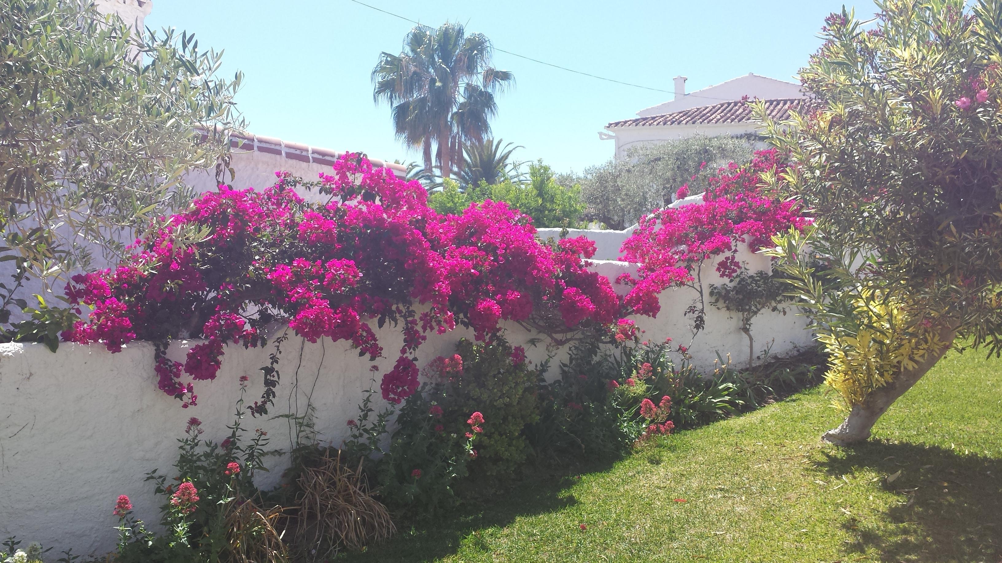 El Capistrano Sur — photo 5