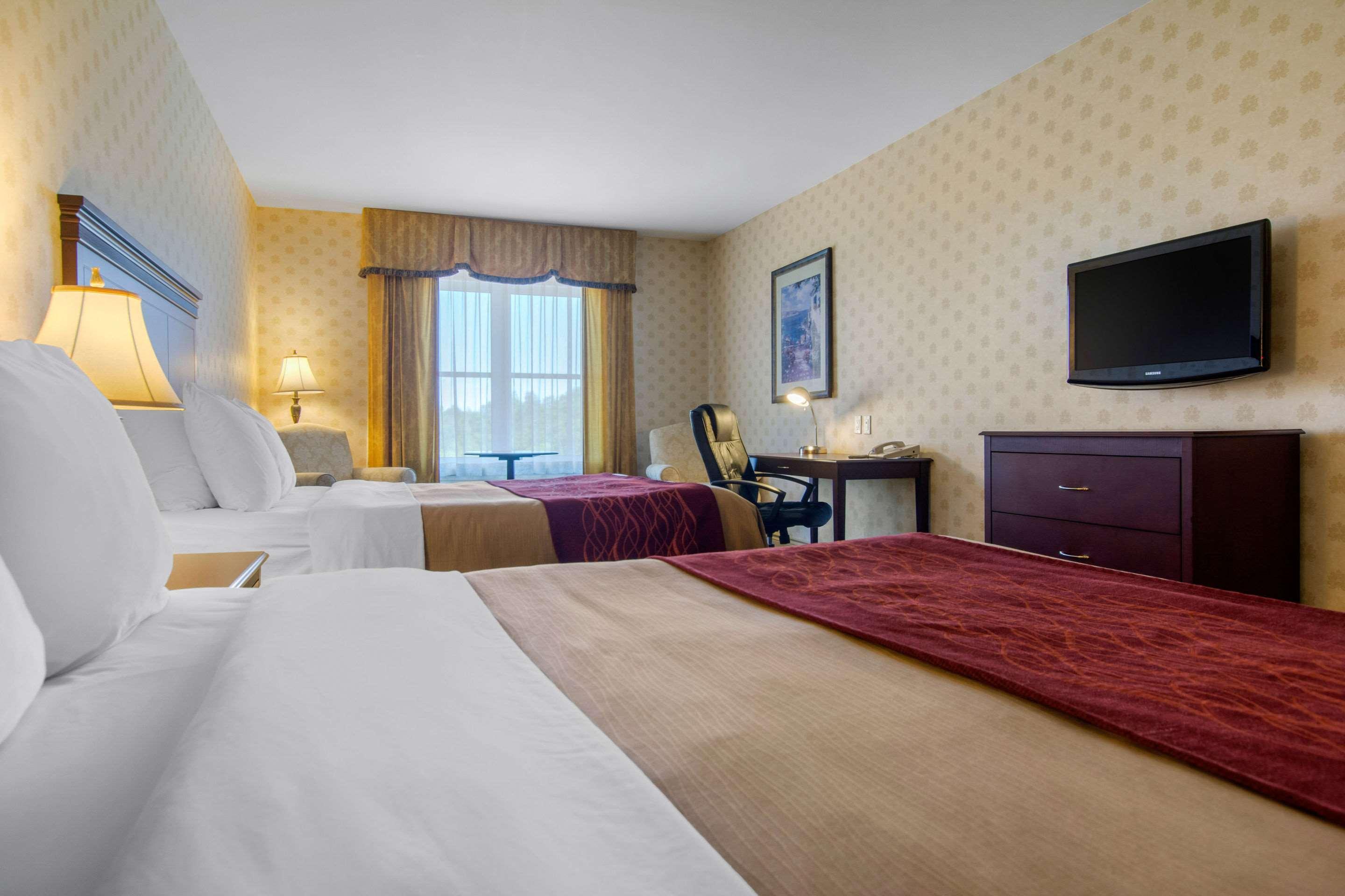 Comfort Inn & Suites — photo 4