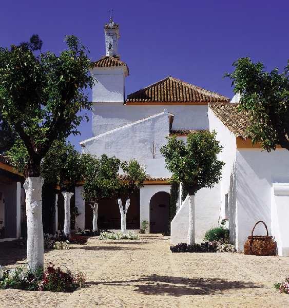 Hacienda Benazuza — photo 5