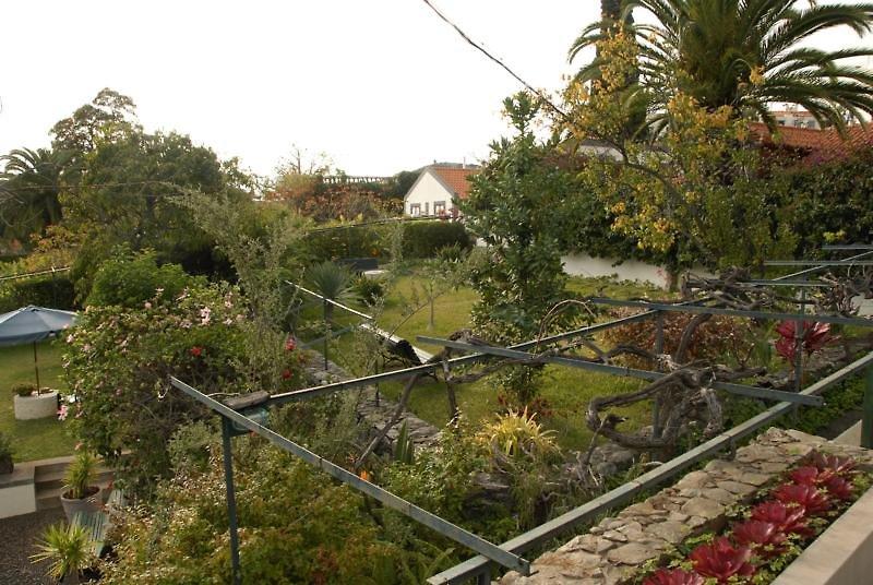Vilas Oliveira — photo 5