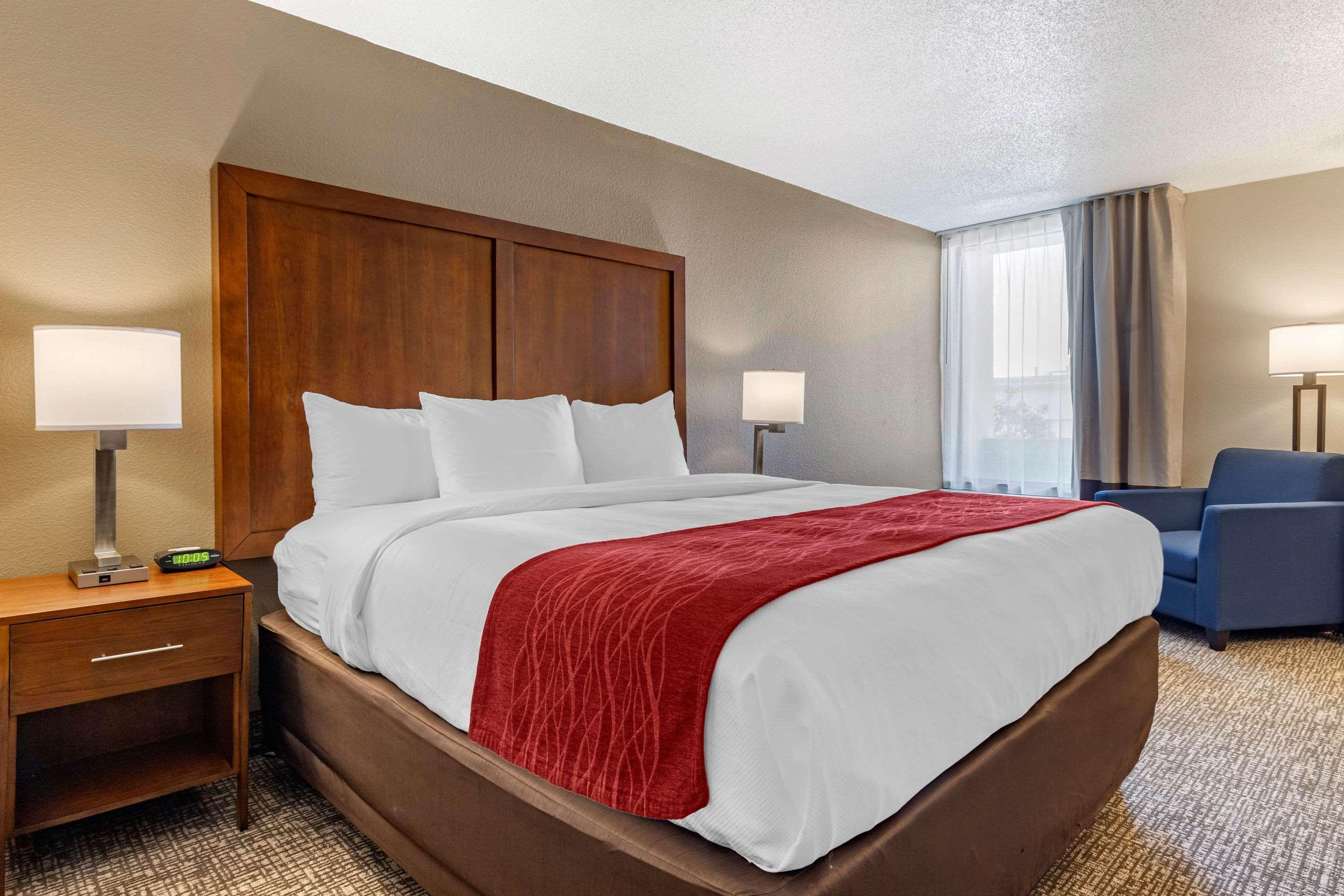 Comfort Inn University — photo 4