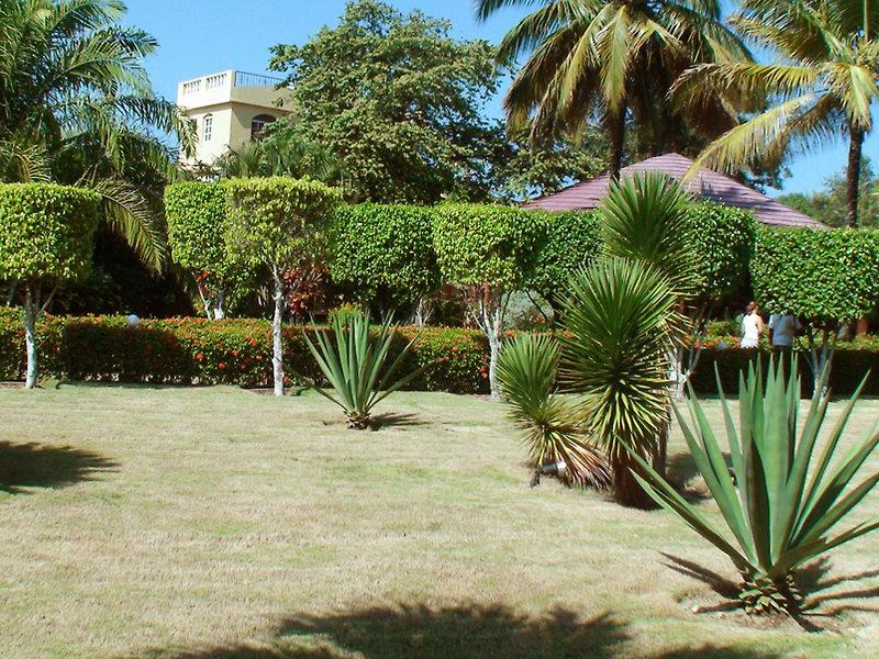 El Colibri — photo 3