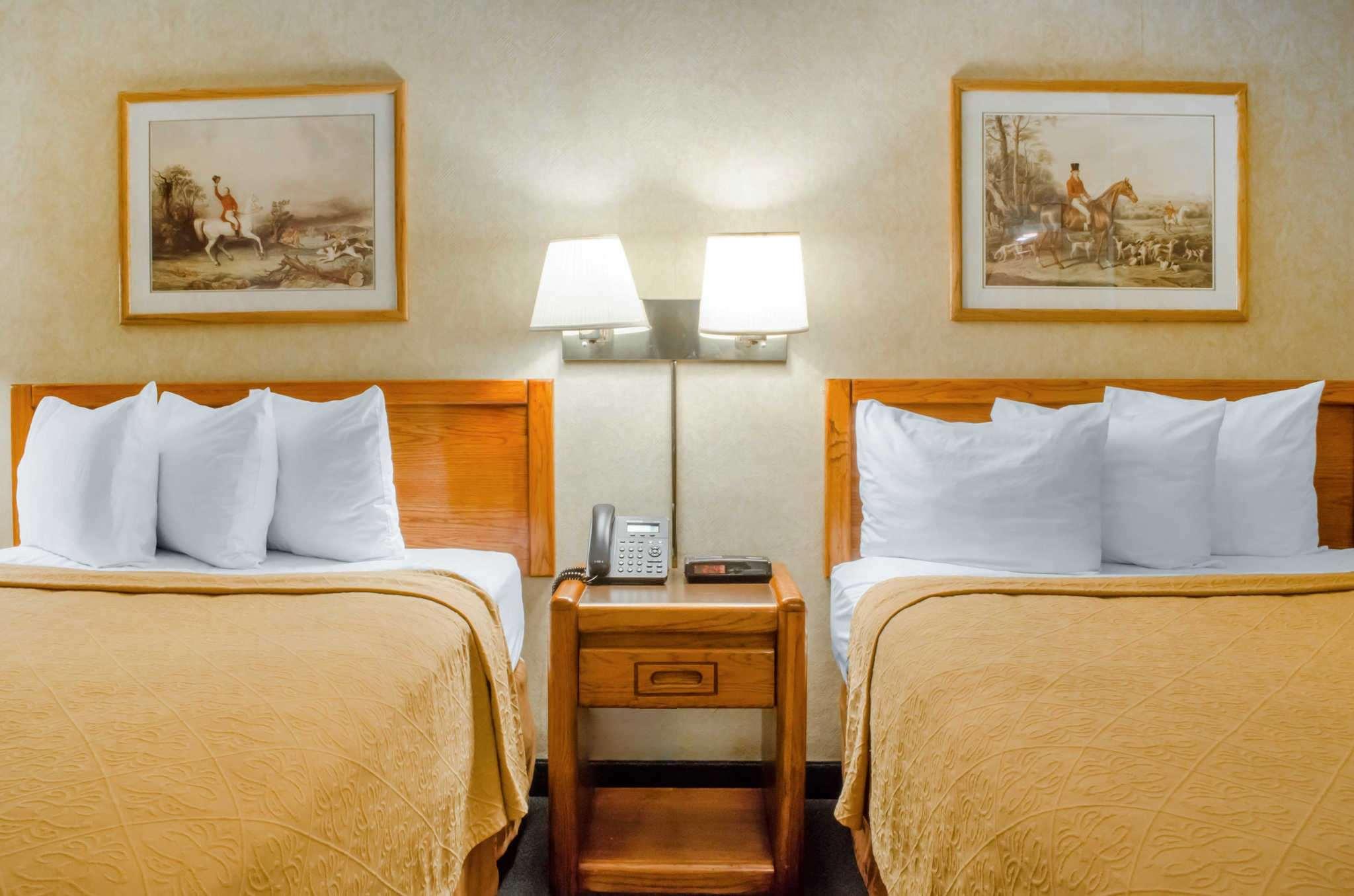 Quality Inn & Suites Burnham — photo 4