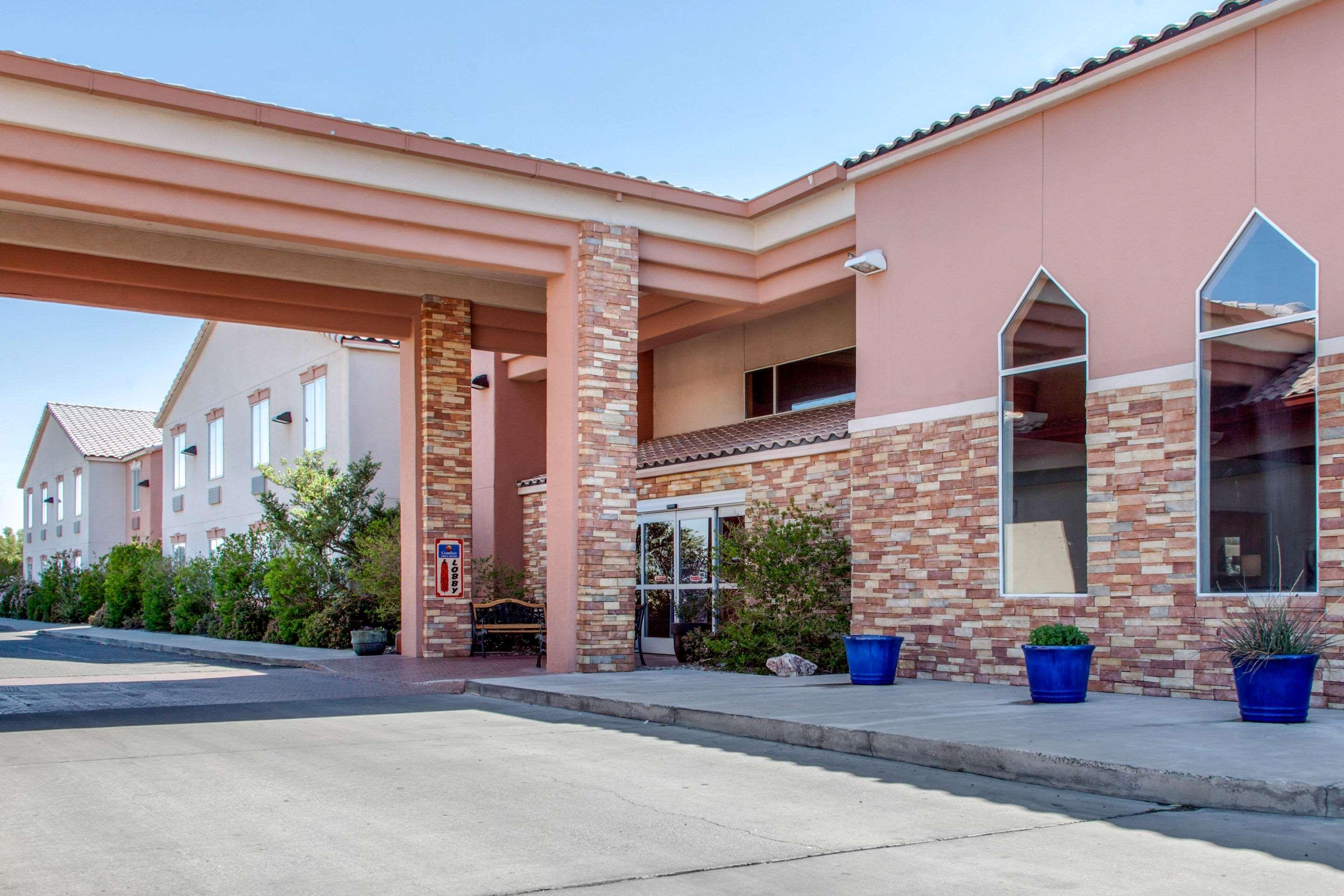 Comfort Inn & Suites — photo 3
