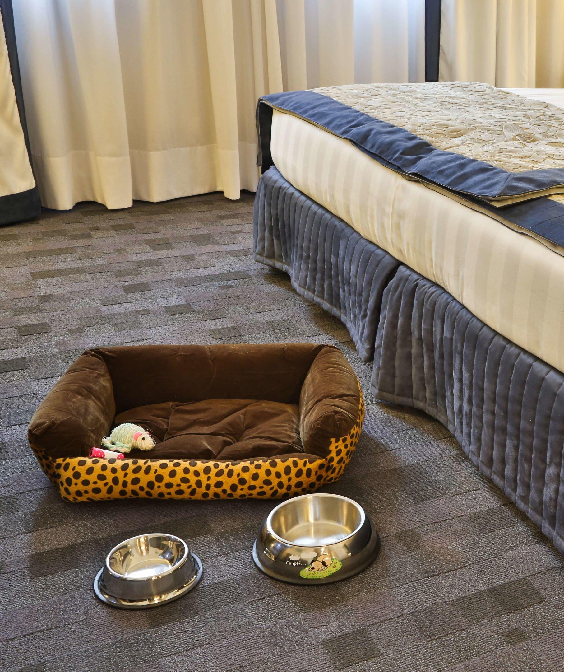 Best Western Plus BorgoLecco Hotel — photo 4