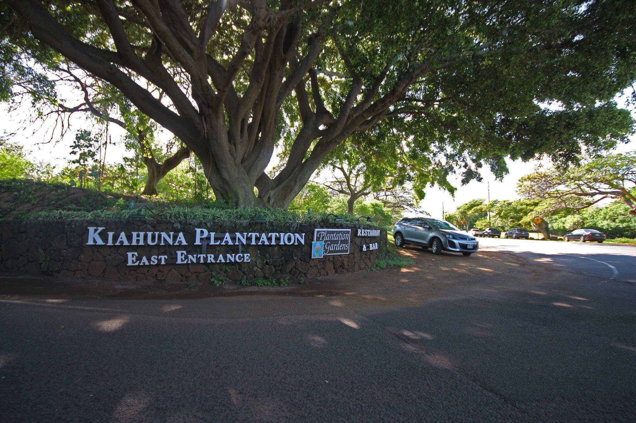 Castle Kiahuna Plantation & The Beach Bungalows — photo 4
