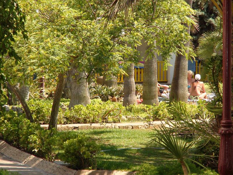 PrimaSol Cala d'Or Gardens — photo 4