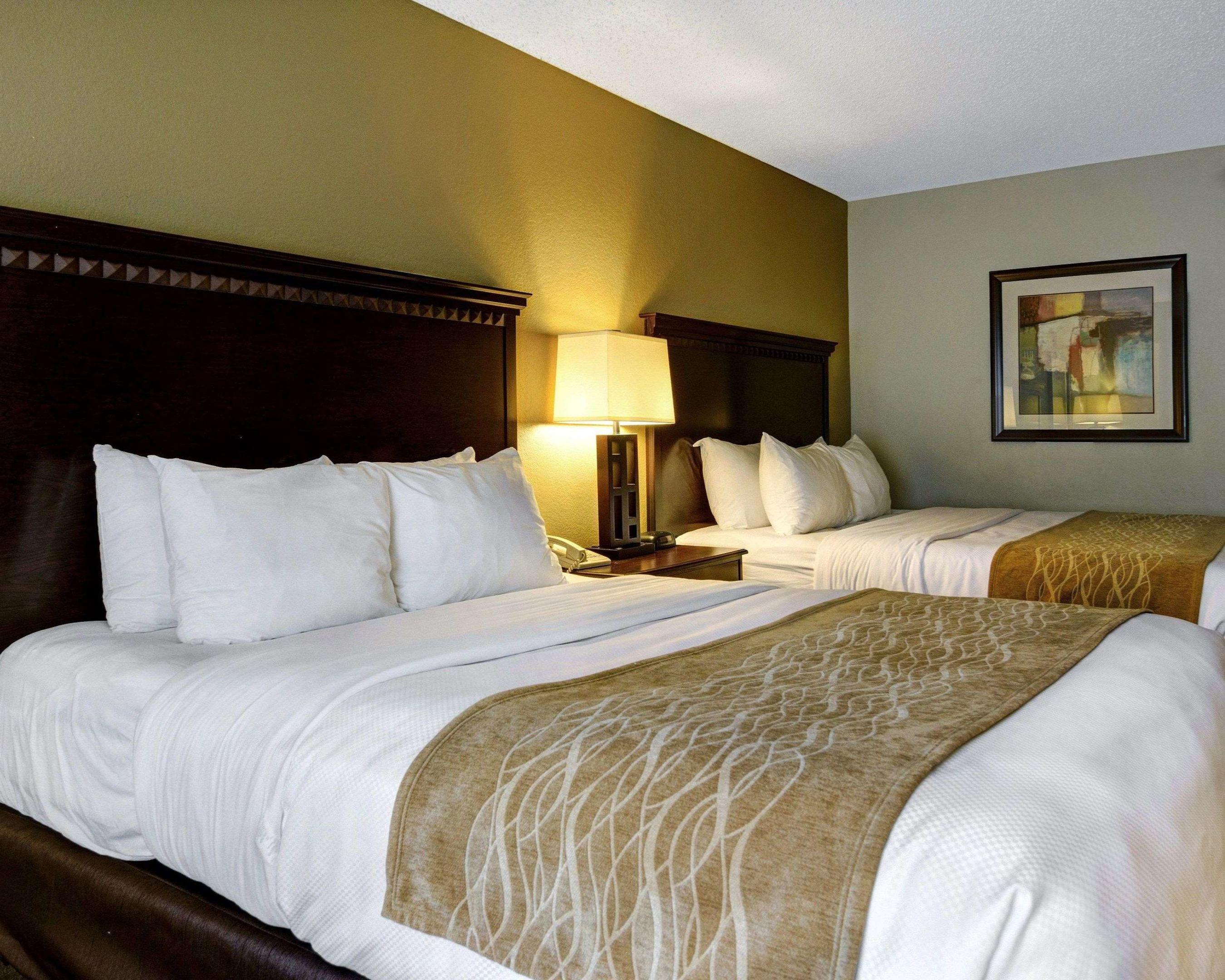 Comfort Inn & Suites — photo 4