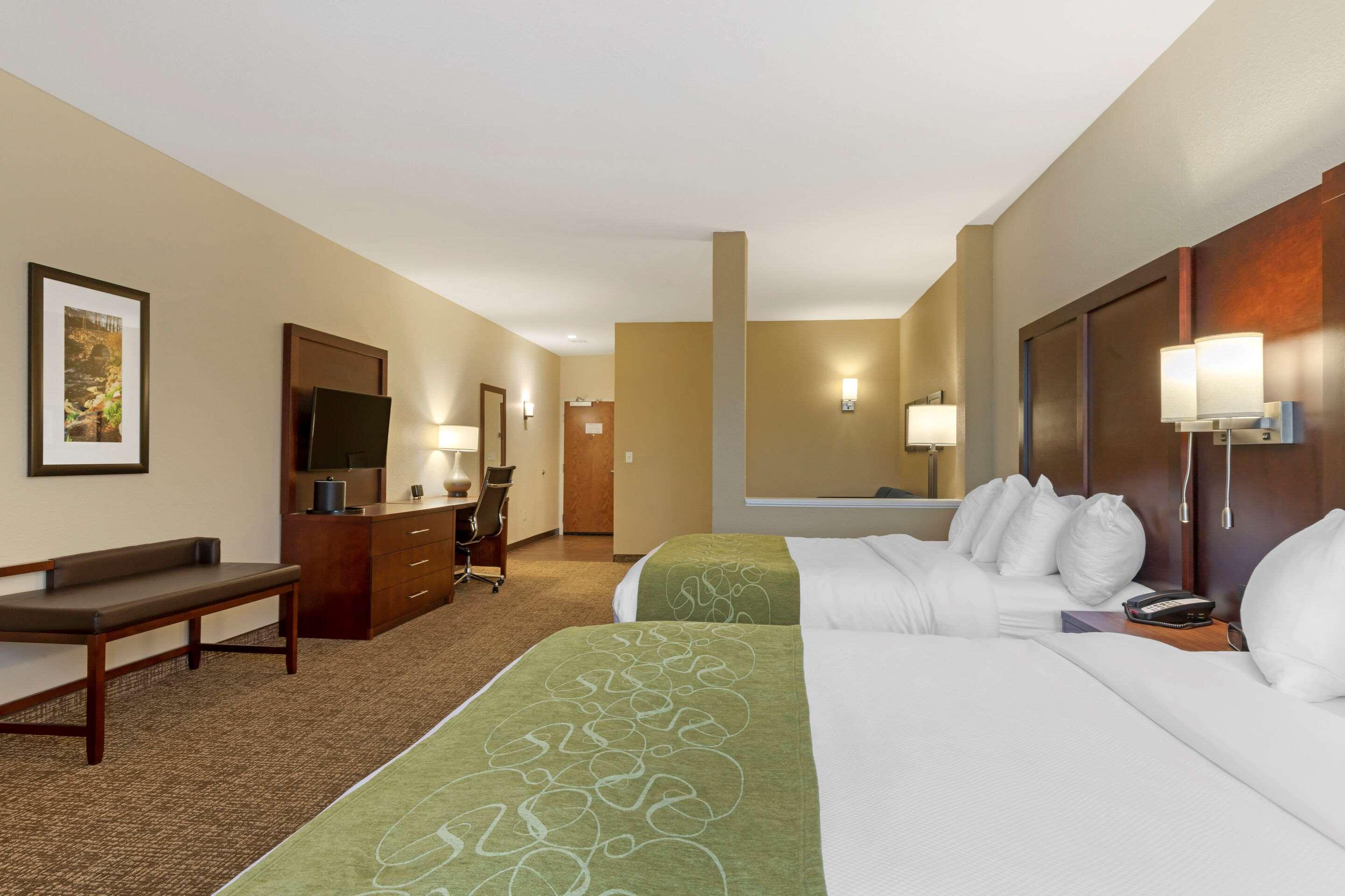 Comfort Suites Greenville South — photo 3