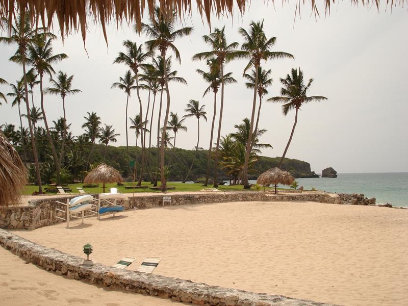 Caliente Caribe Resort — photo 5