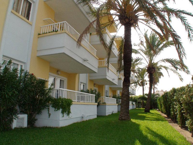 Palm Garden — photo 4