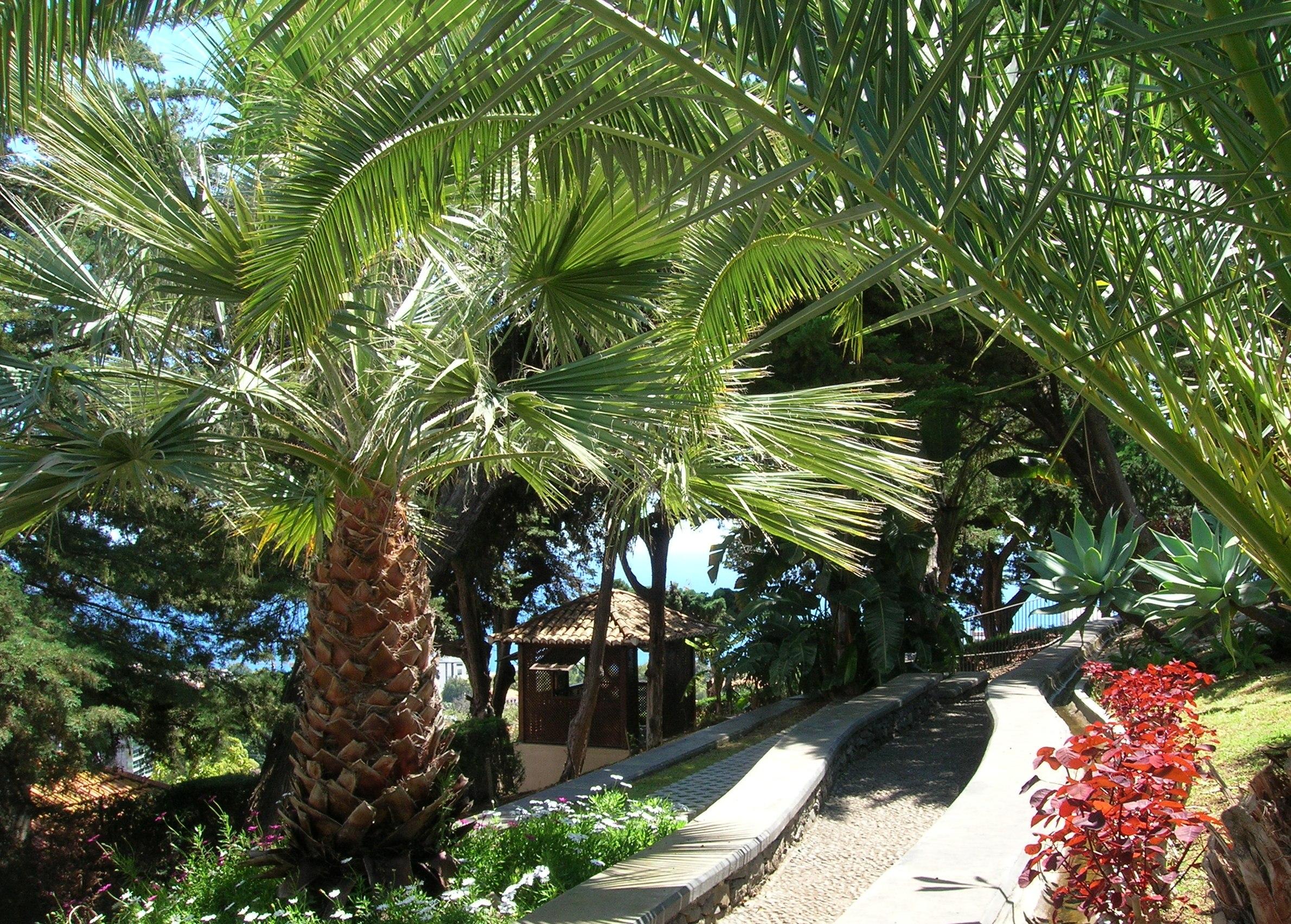 Quinta das Vistas Palace Gardens — photo 5