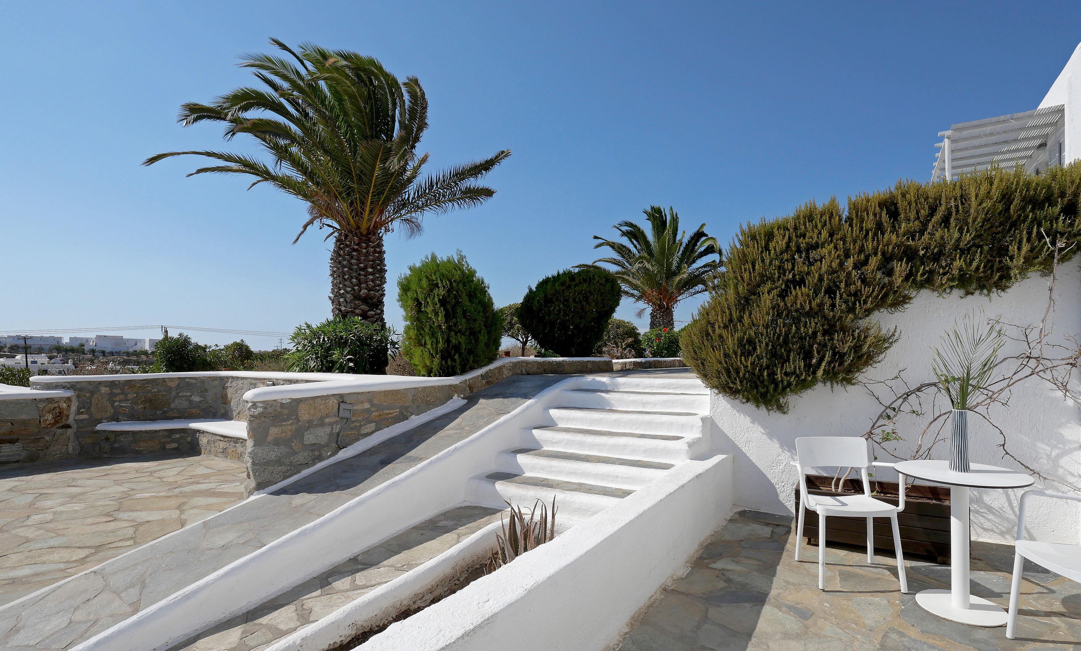Andronikos — photo 4