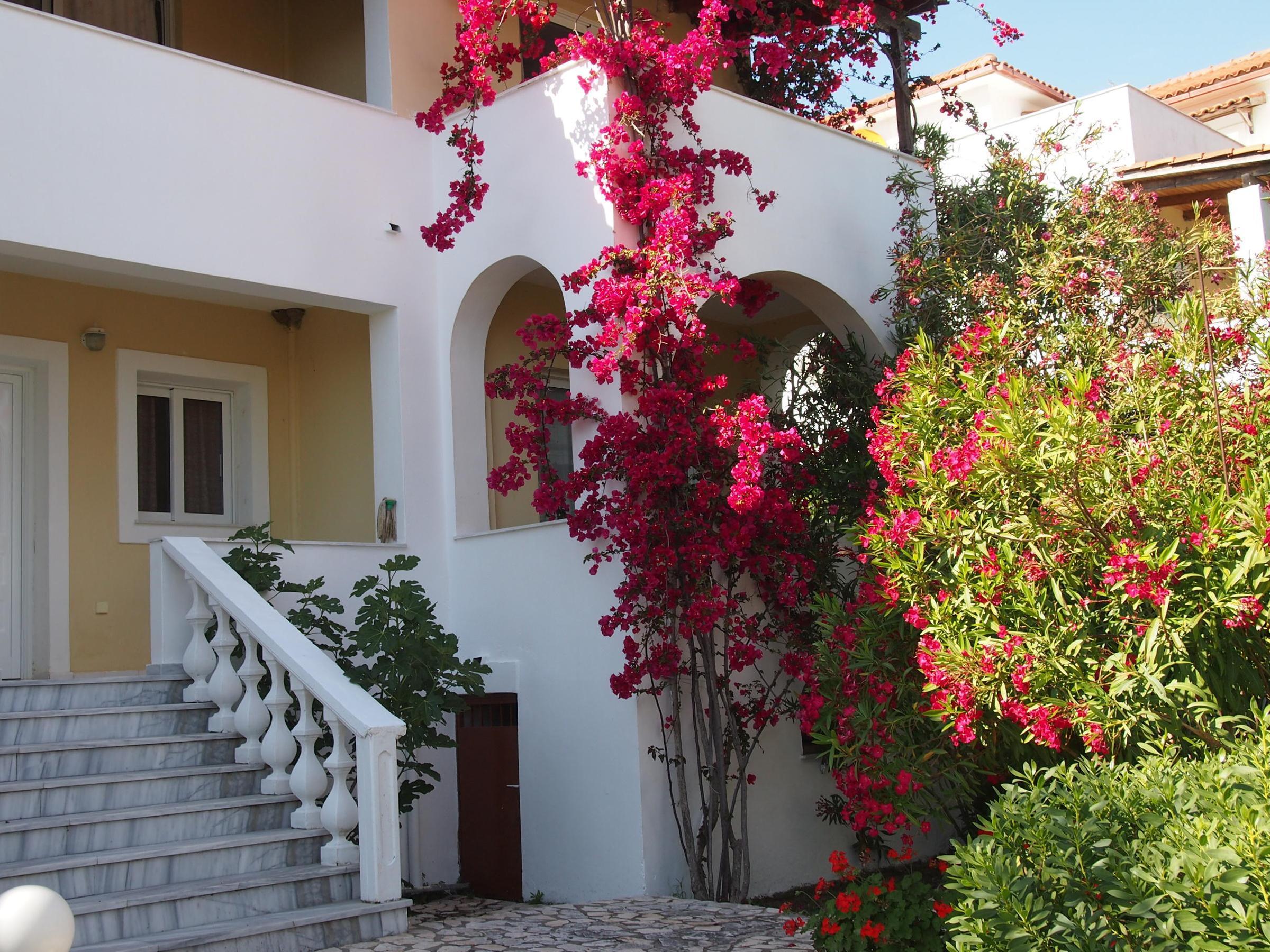 Naturist Panorama Hotel — photo 4