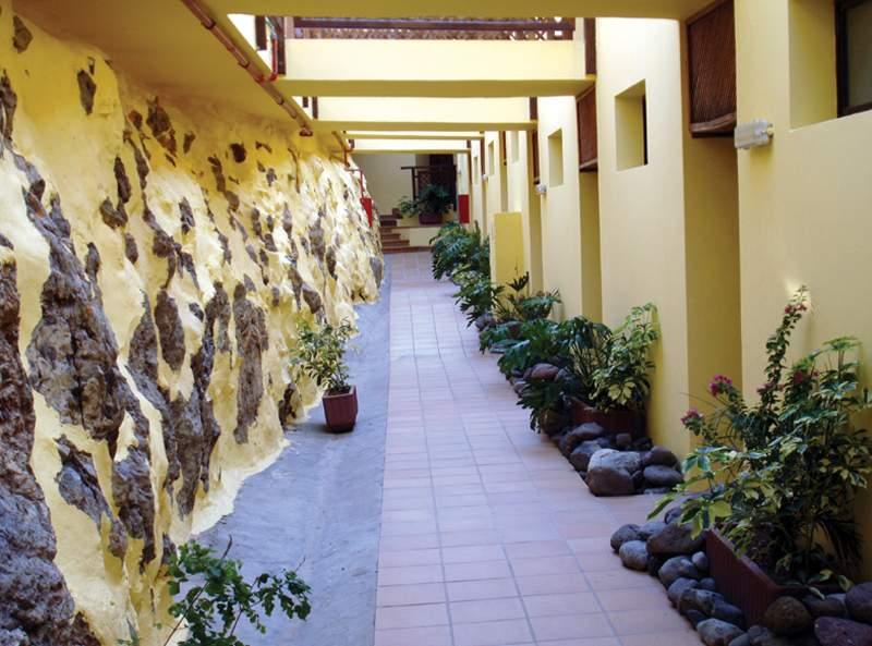 Los Palmitos — photo 4