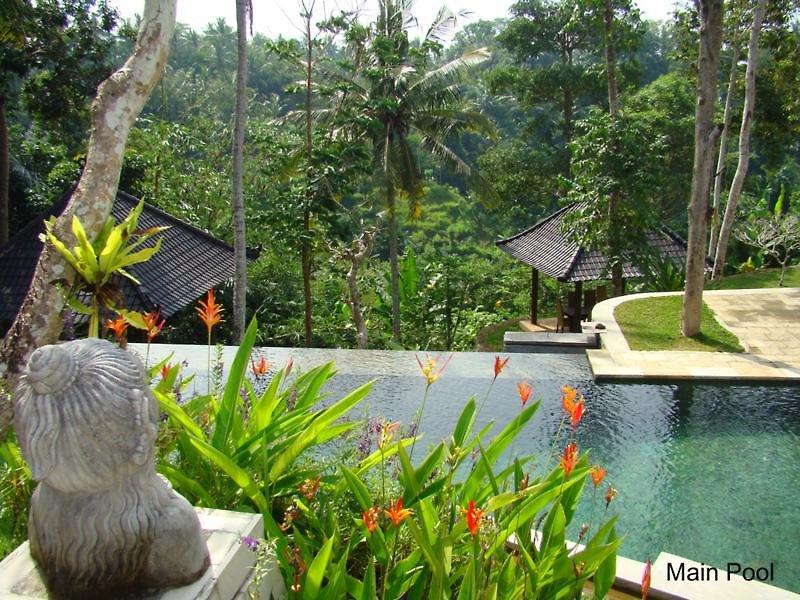 Beji Ubud Resort — photo 5