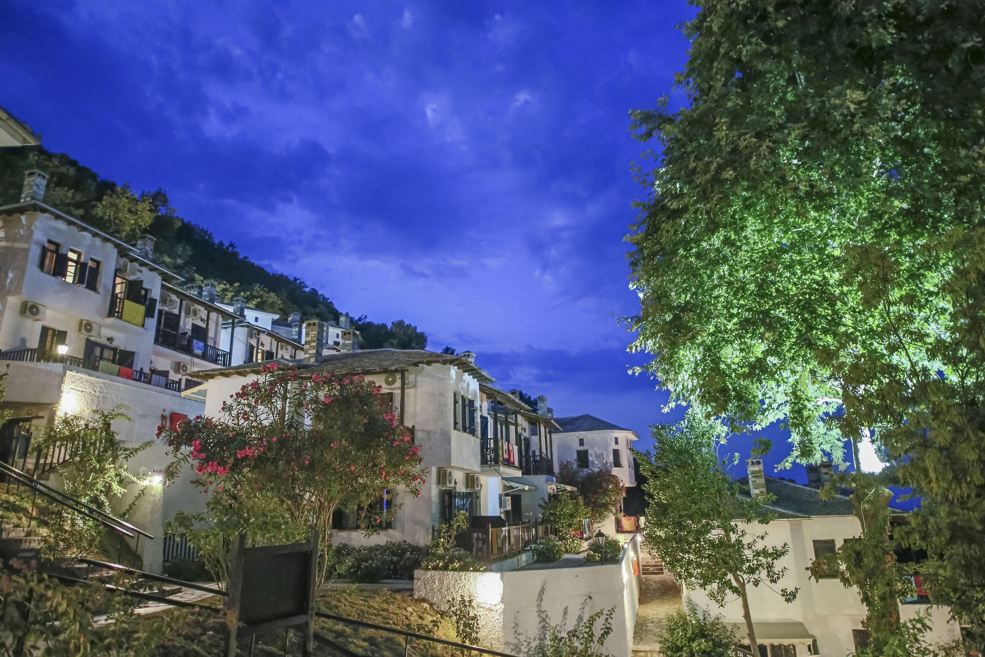 Pilio Sea Horizon Hotel — photo 4